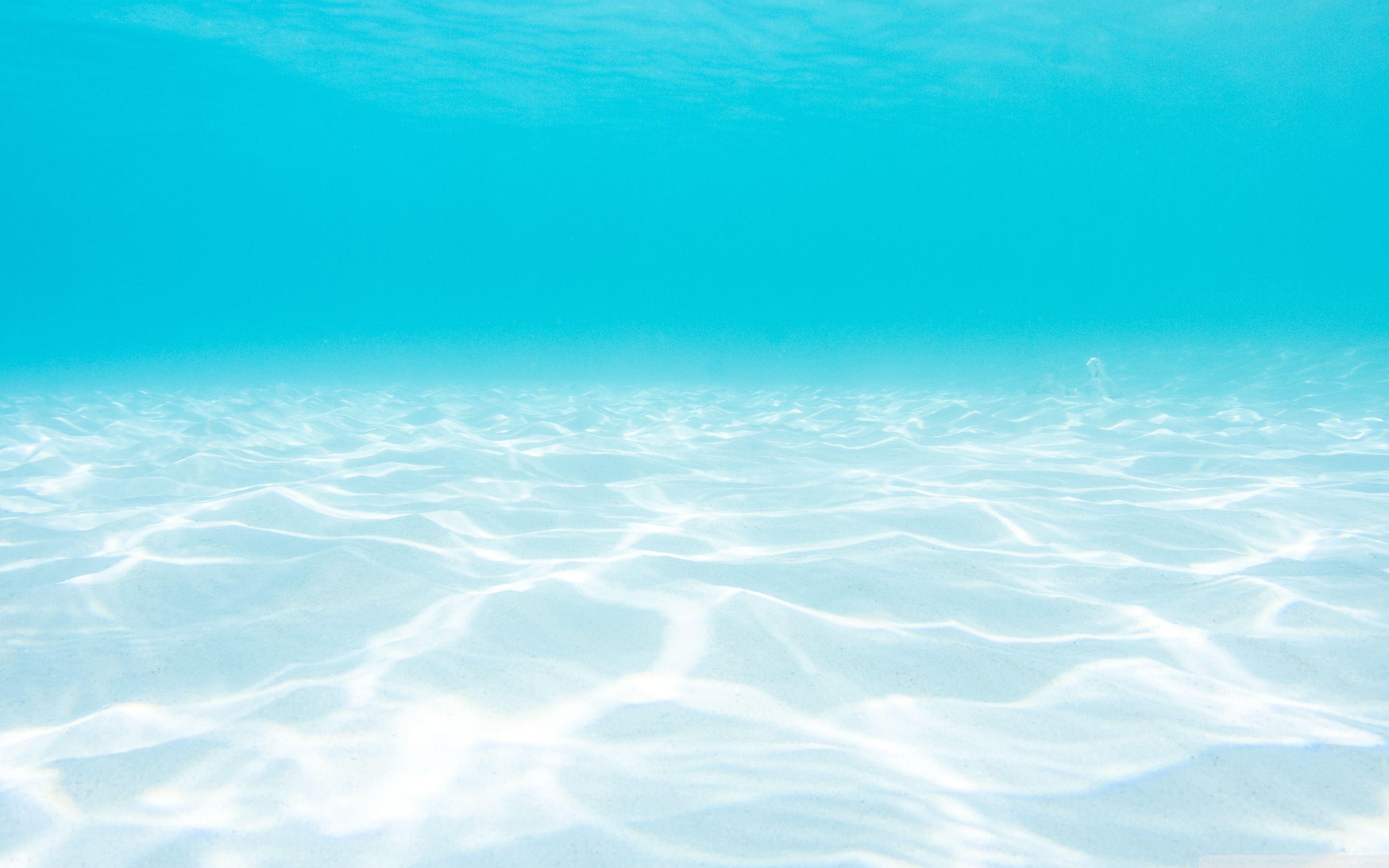 Underwater Ocean Wallpaper