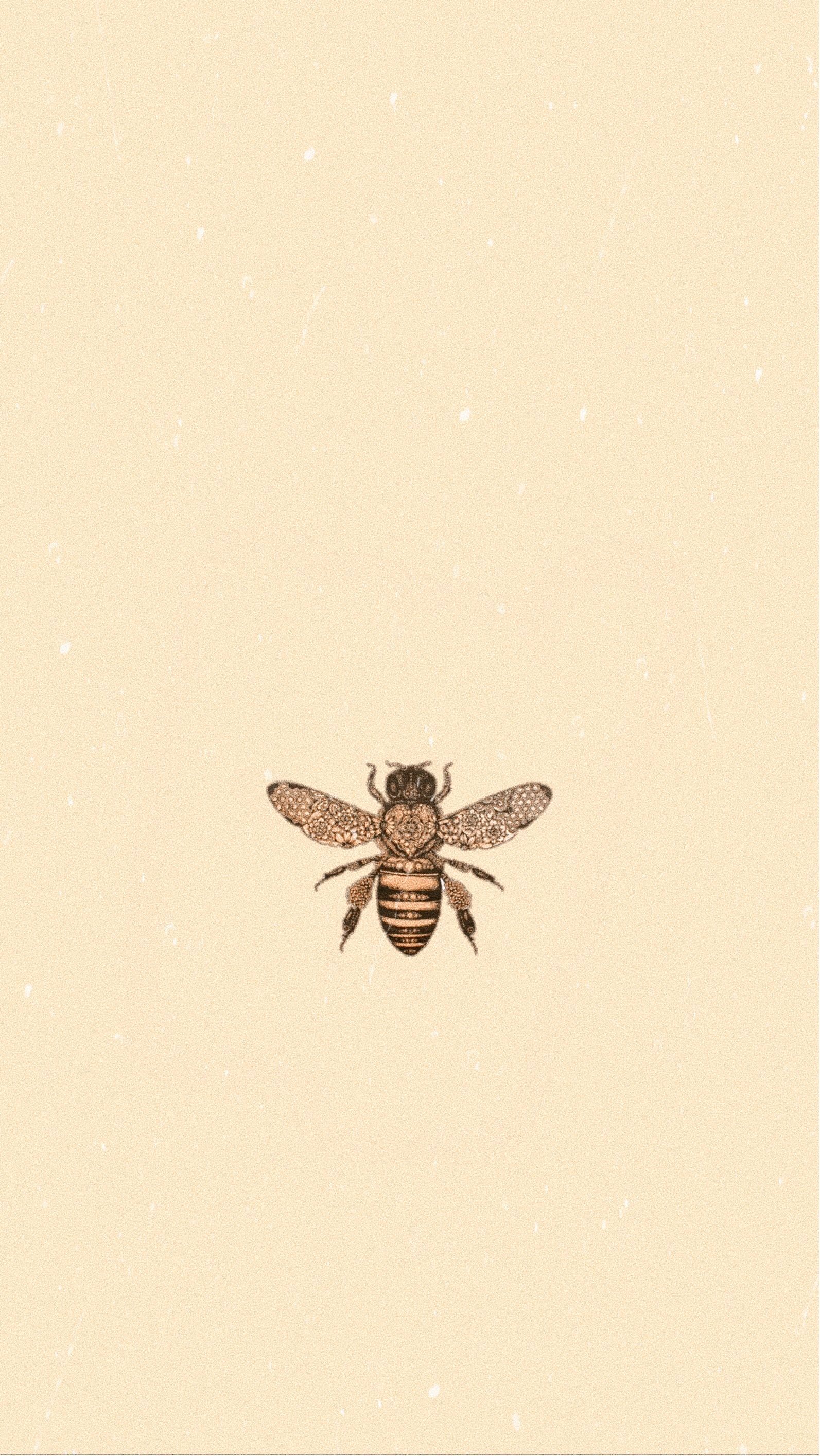 Bee and Tulip iPhone Wallpaper  Asking For Trouble