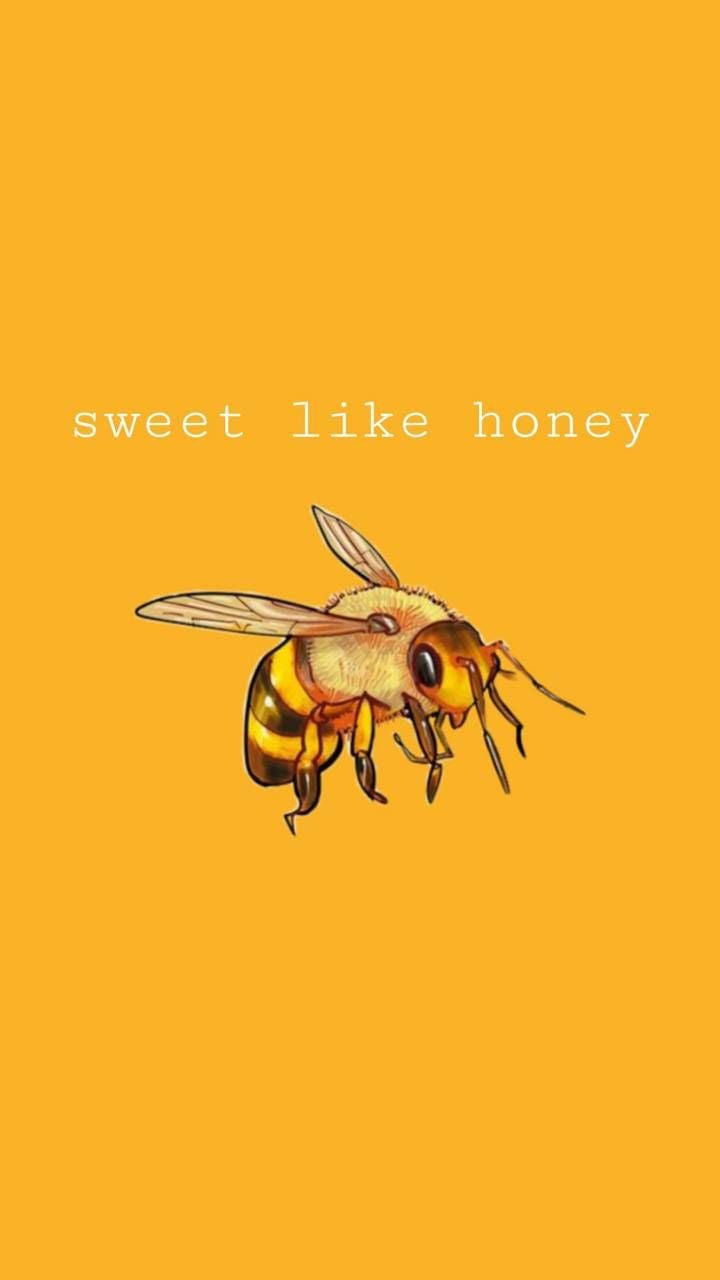 Download Honey bee Wallpaper HD
