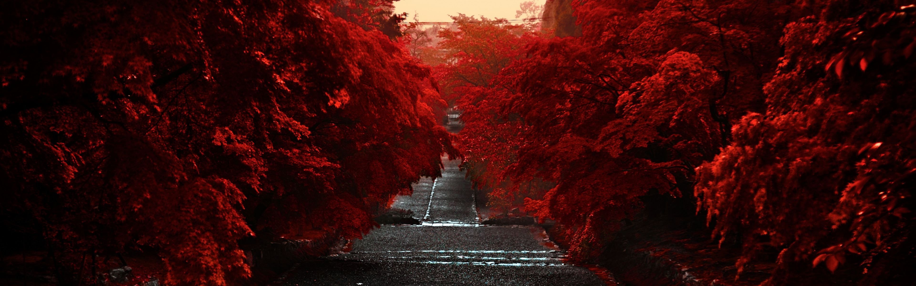 Best Red iPhone Panoramic HD Wallpaper