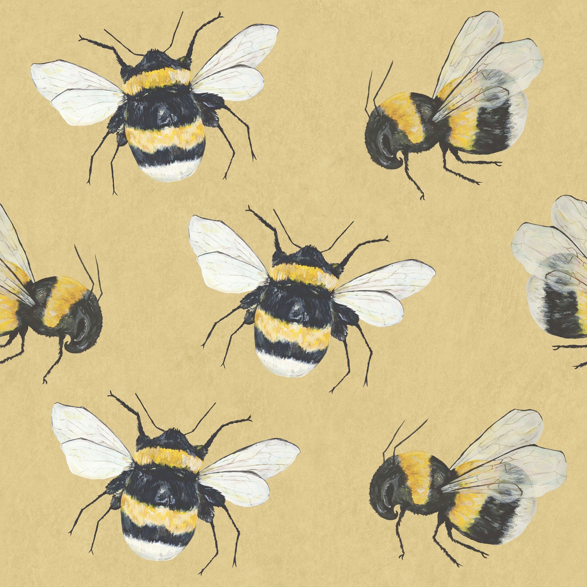 Bee Aesthetic Wallpapers Wallpaper Cave