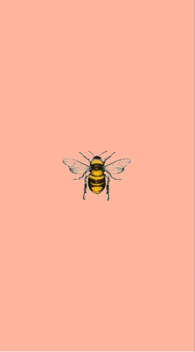 Bumble bee wallpaper. iPhone background wallpaper, Wallpaper, Minimal wallpaper