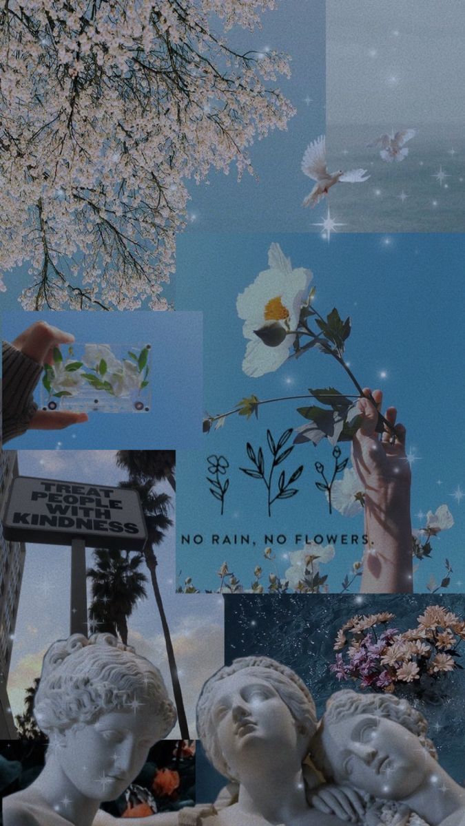 Naturecore Wallpapers - Wallpaper Cave