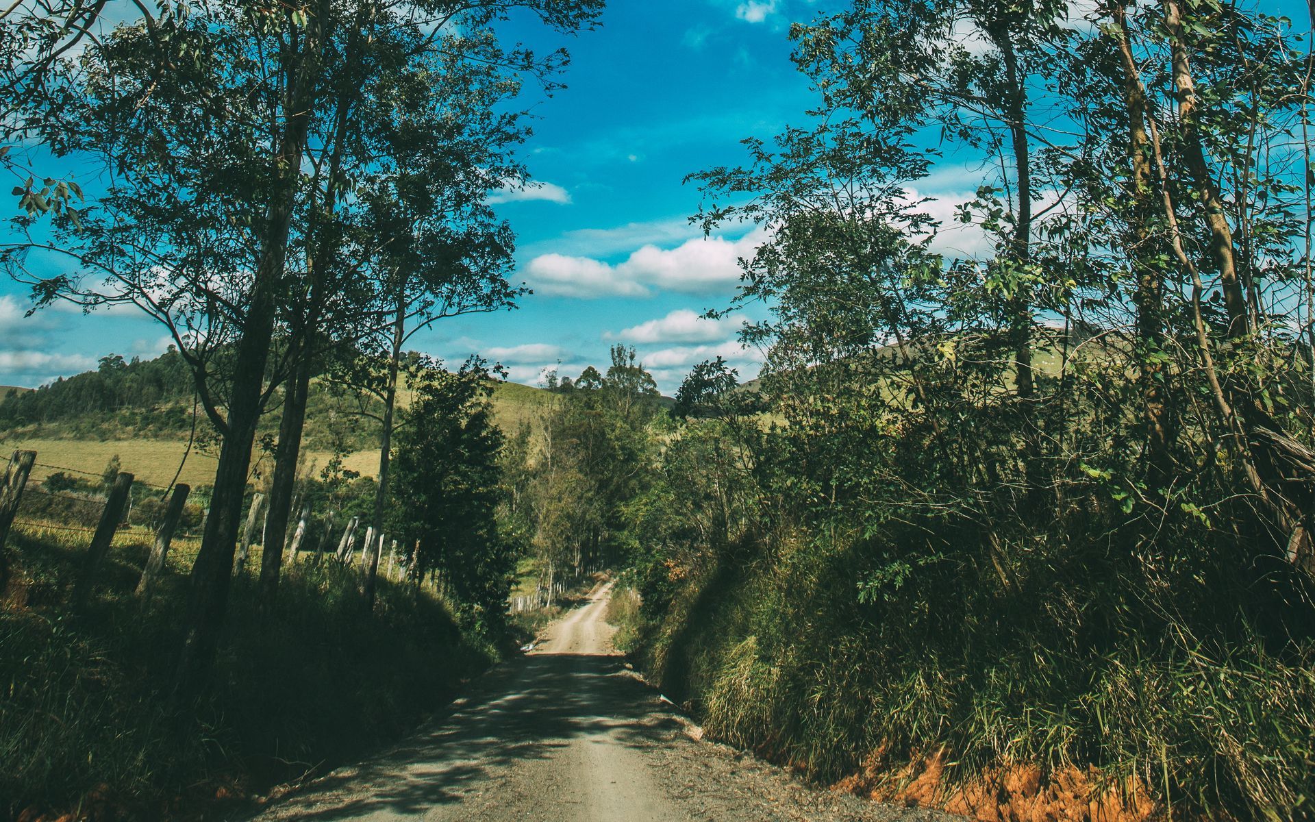 Download wallpaper 1920x1200 summer, road, trees, sky, sunny widescreen 16:10 HD background