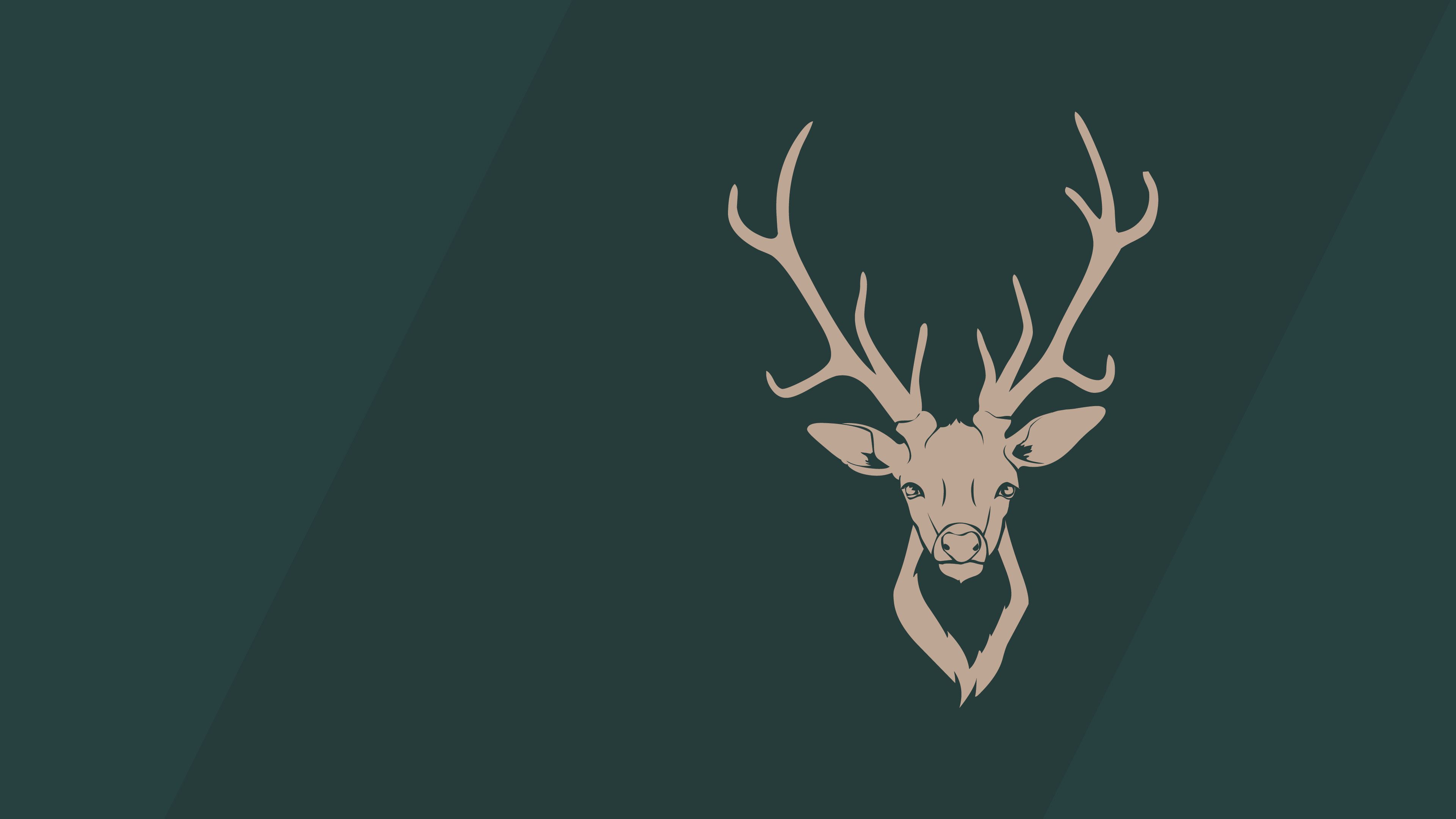 Oh Deer Data Src Amazing Deer Desktop Wallpaper For