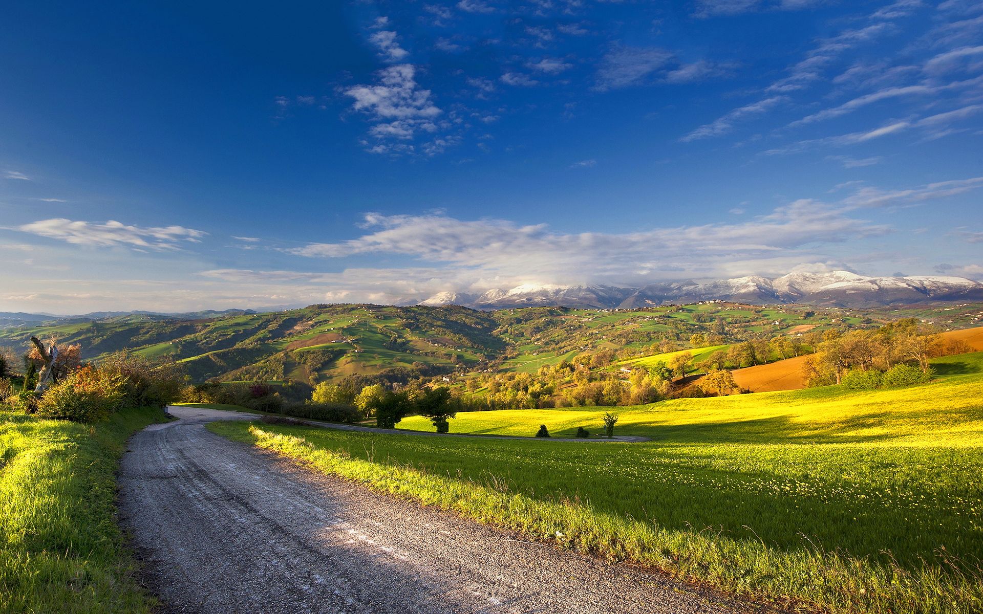Summer Landscape wallpaperx1200