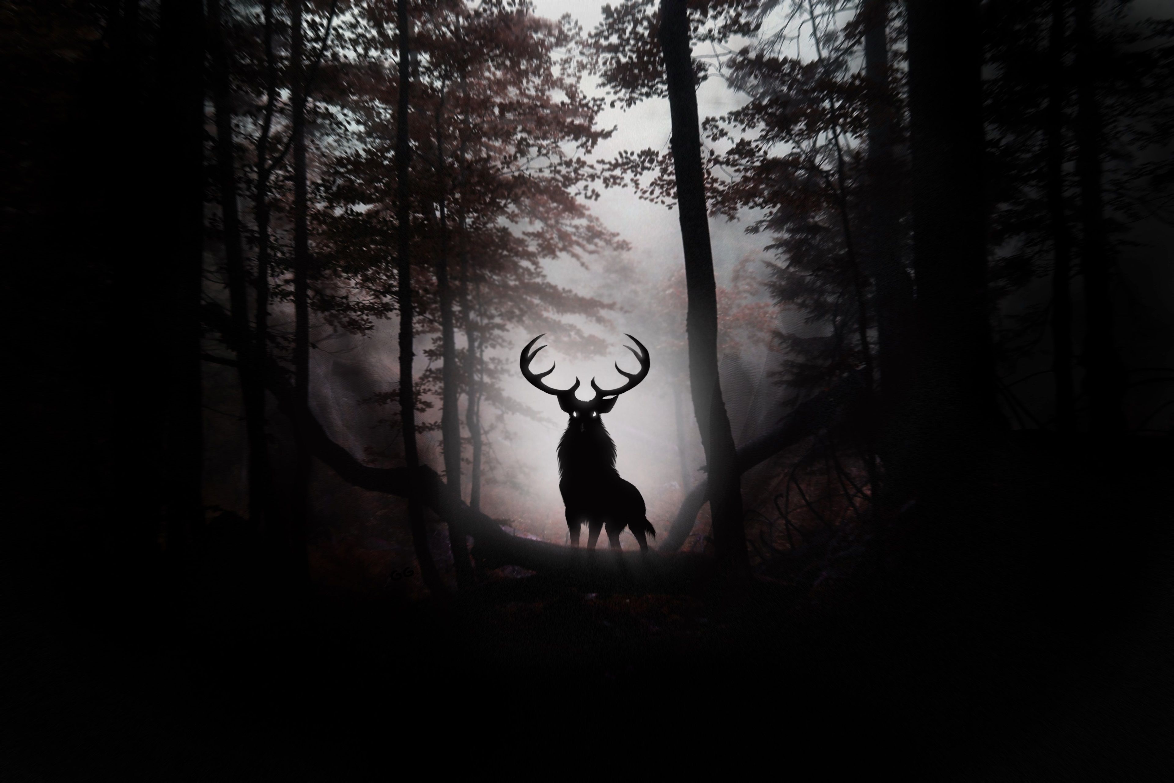 Deer Wallpaper