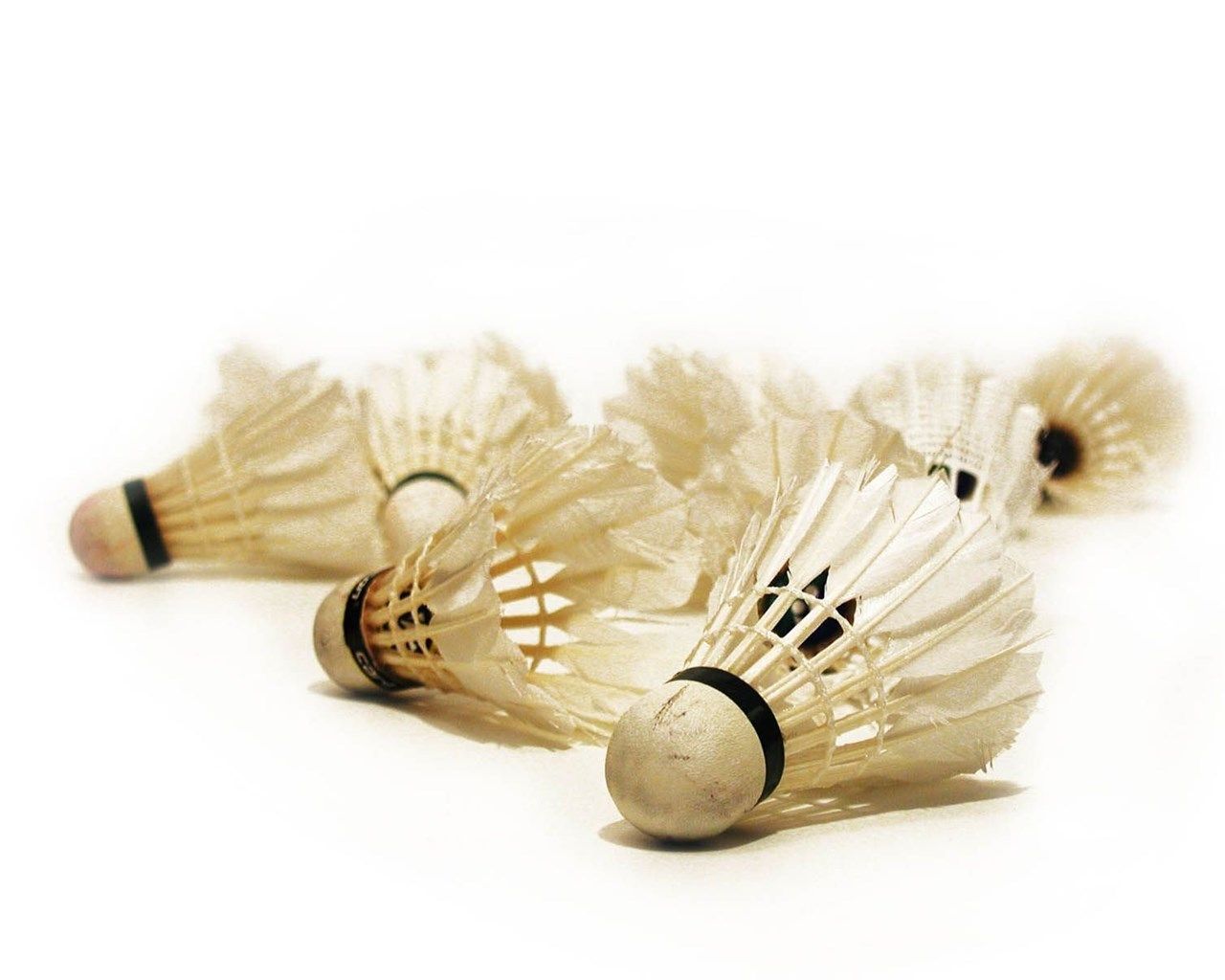 Wallpaper: Badminton Wallpaper Desktop Background