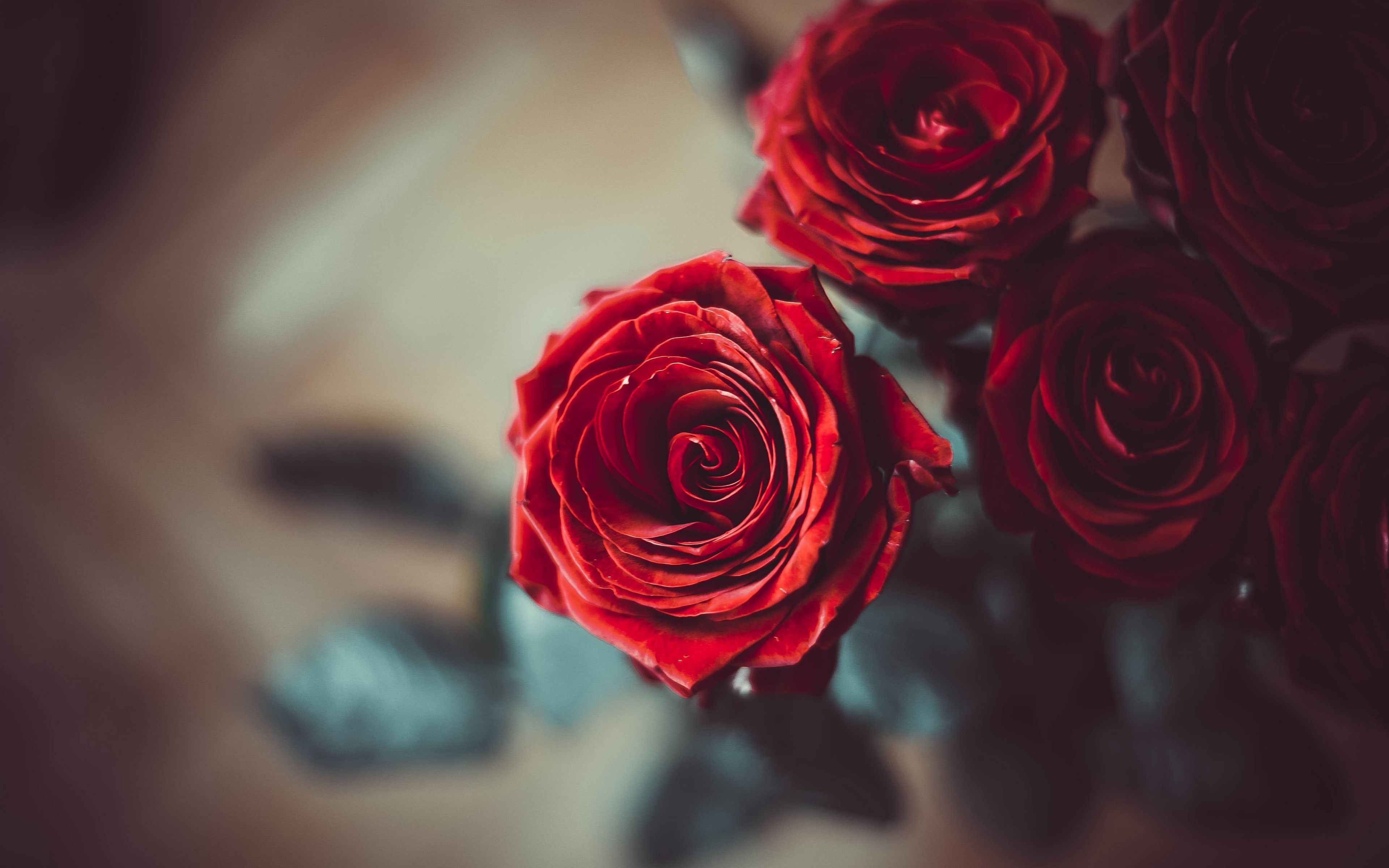 Red Rose Petals 4k Ultra HD Wallpaper
