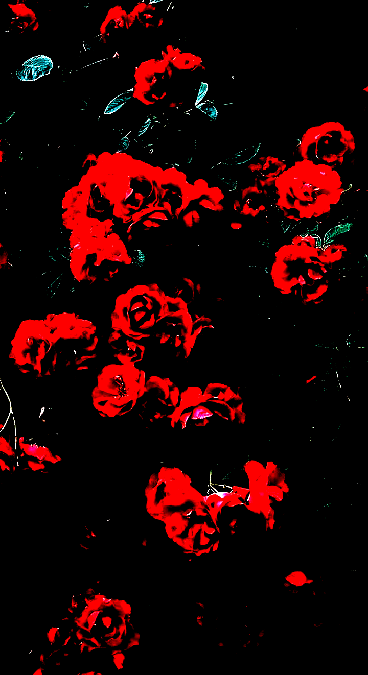 Aesthetic Wallpaper. Dark red wallpaper, Dark aesthetic, Dark wallpaper