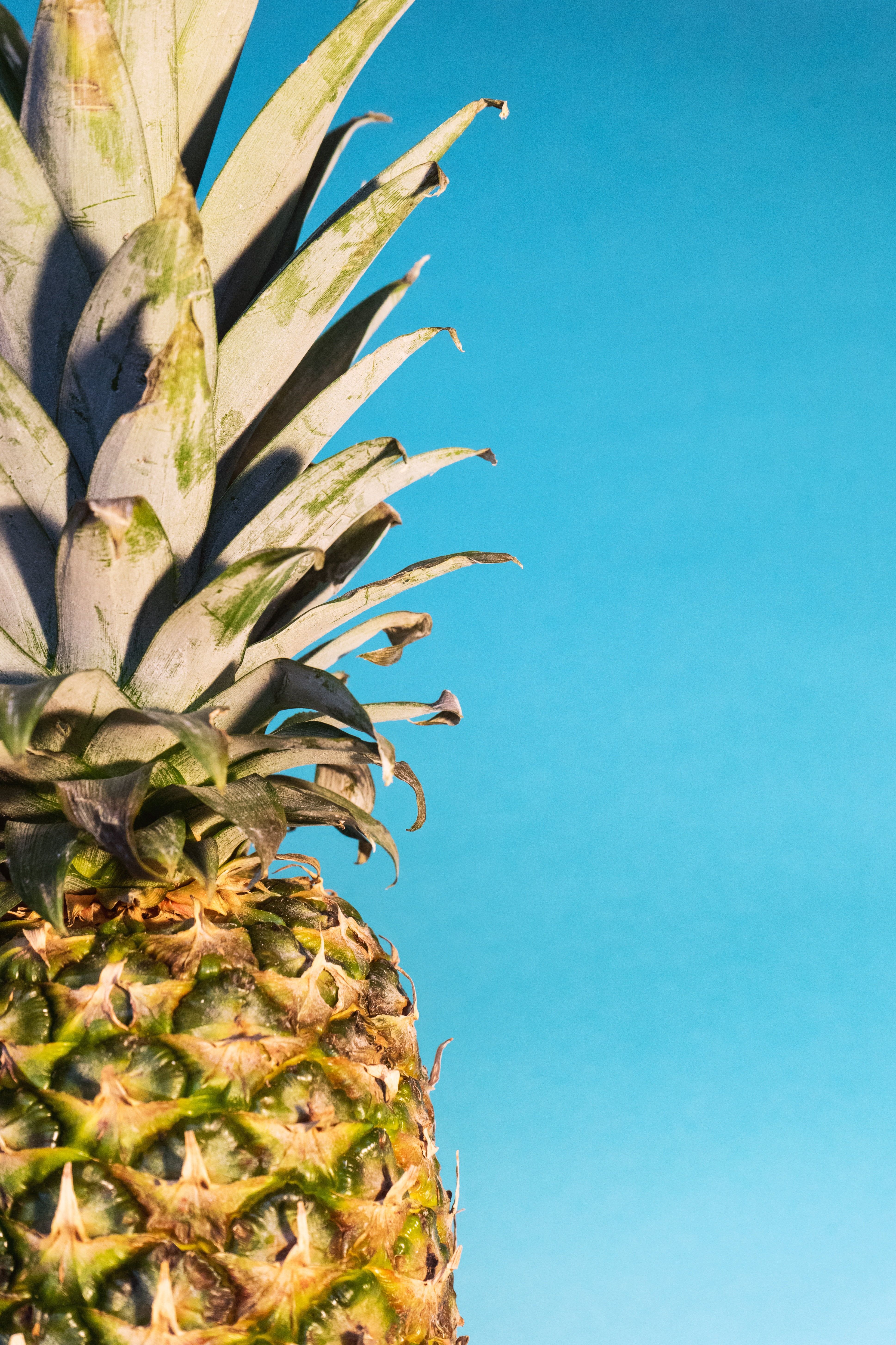 iPhone X Wallpaper Pineapple
