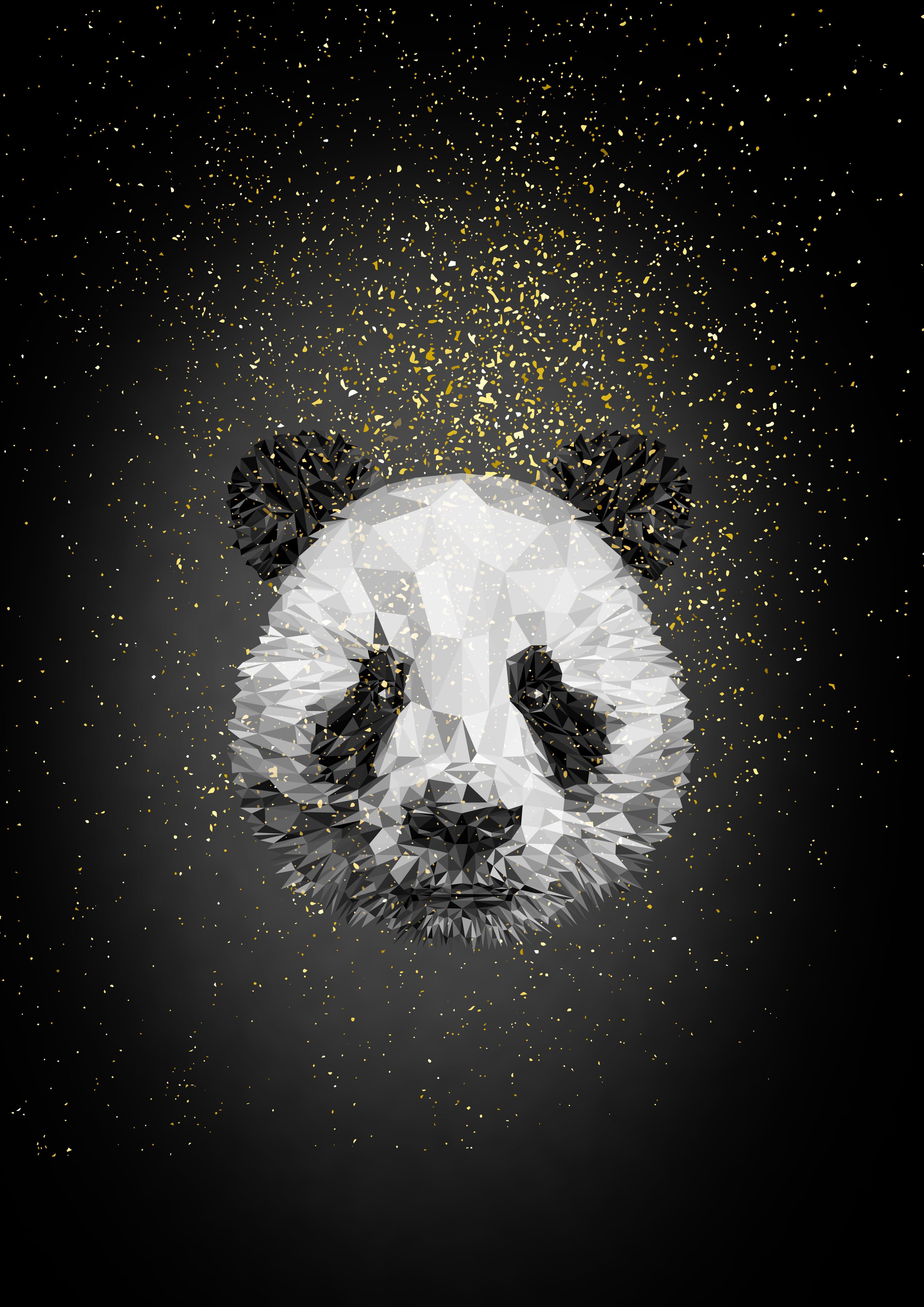 black and white panda