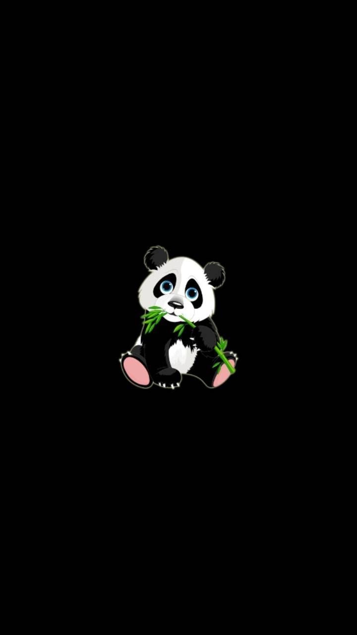 Cute Panda In A Blue Scarf On A Dark Background. Free Image and Photograph  199713039.