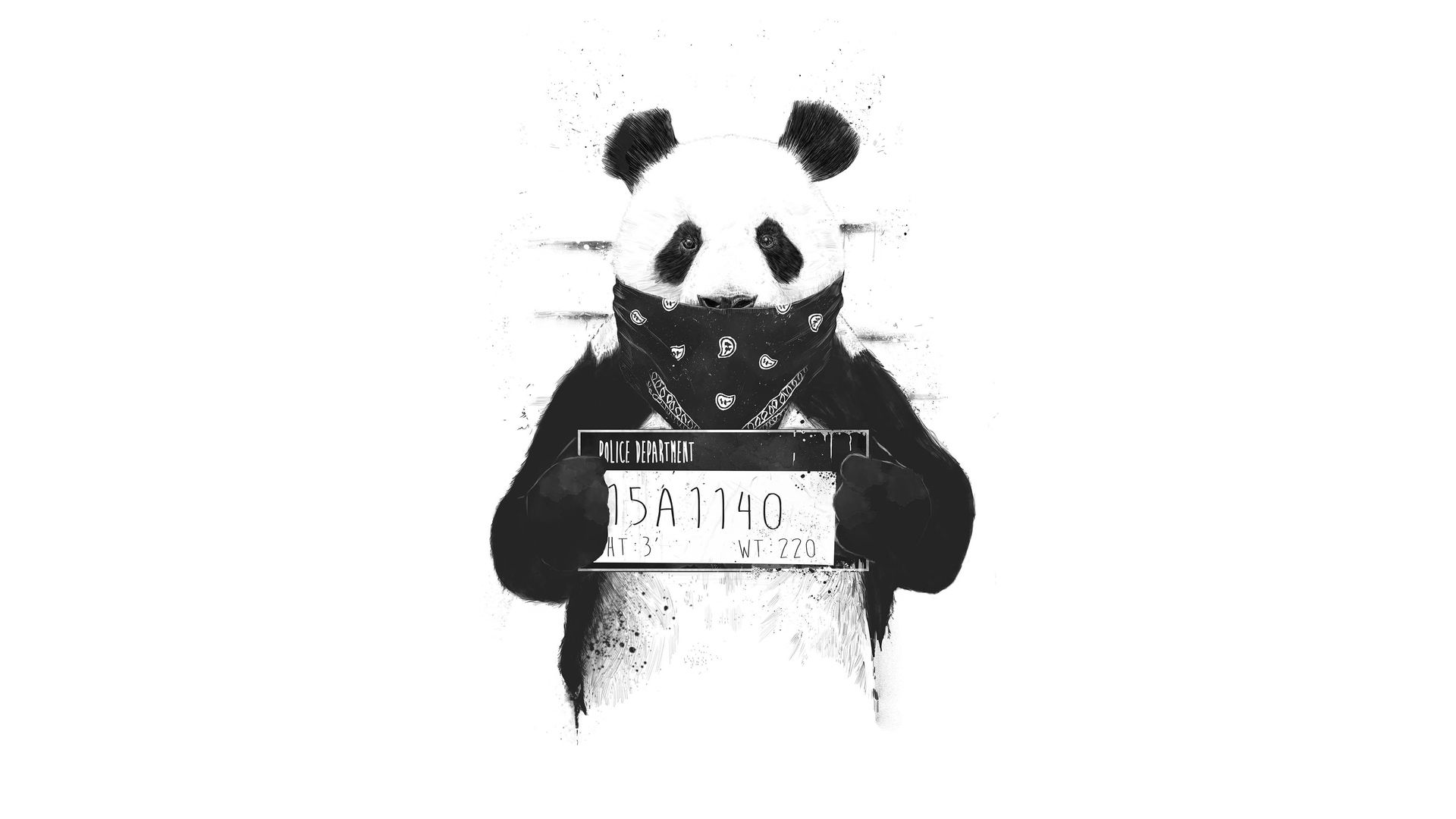 Bad Panda Laptop Full HD 1080P HD 4k Wallpaper, Image, Background, Photo and Picture