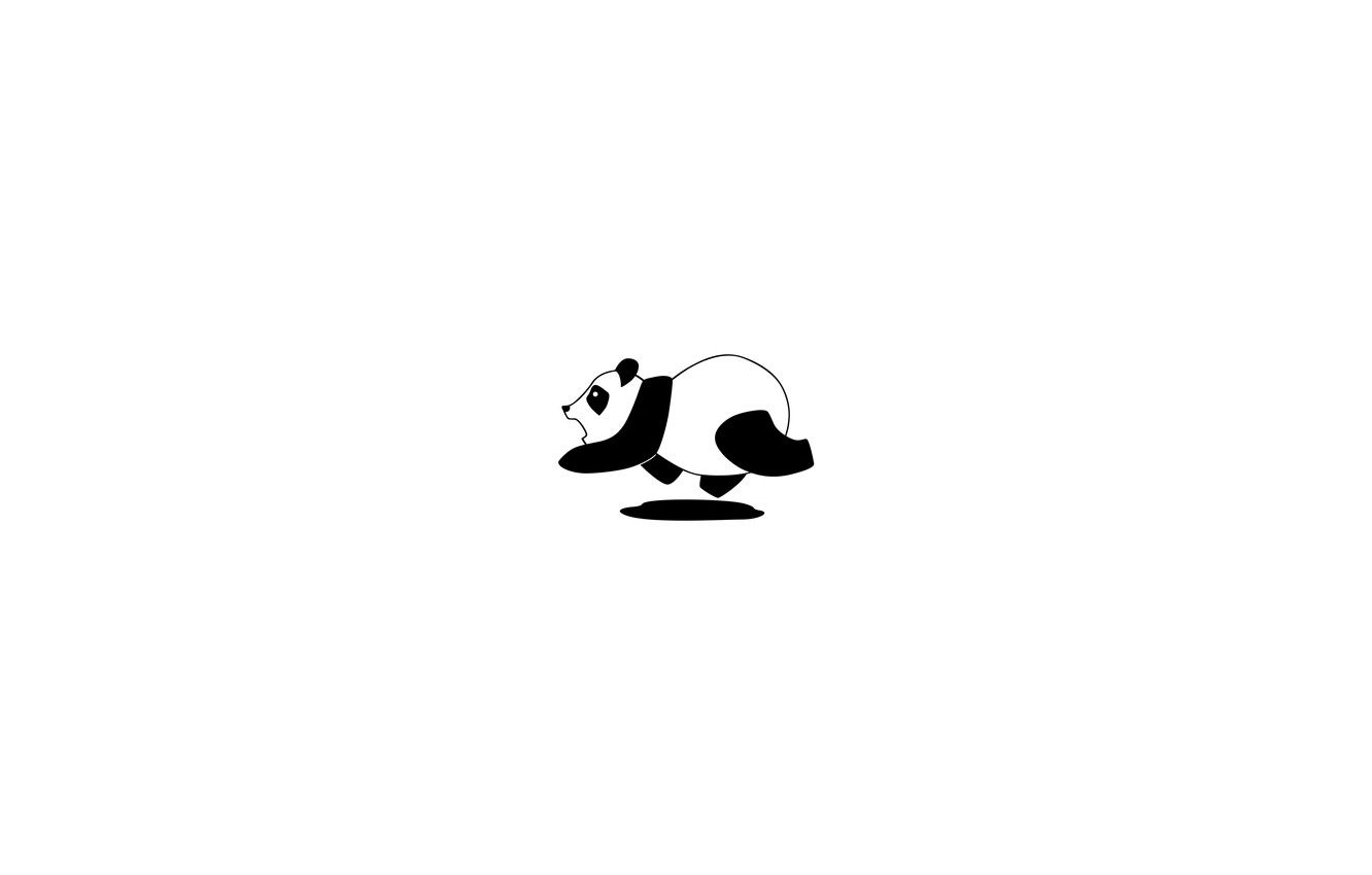 Wallpaper black and white, white, black, Panda, white, black, black and white, panda image for desktop, section минимализм