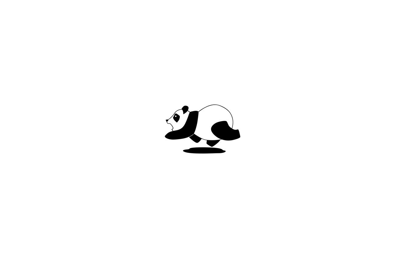 Wallpaper black and white, white, black, Panda, white, black, black and white, panda image for desktop, section минимализм