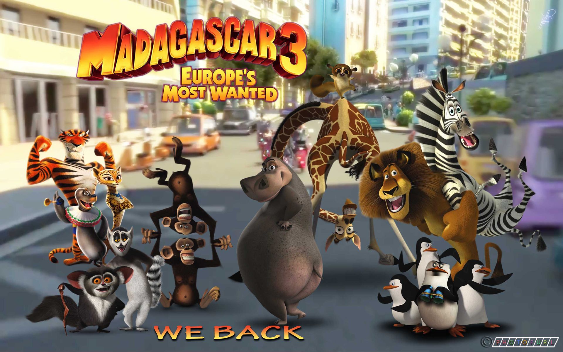 Madagascar 3 Hollywood Movie Wallpaper Download. Free WallpaperFree Wallpaper