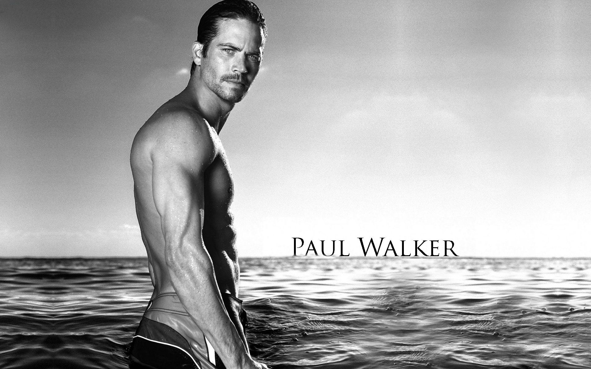 Paul Walker HD Wallpaperwallpaper.net