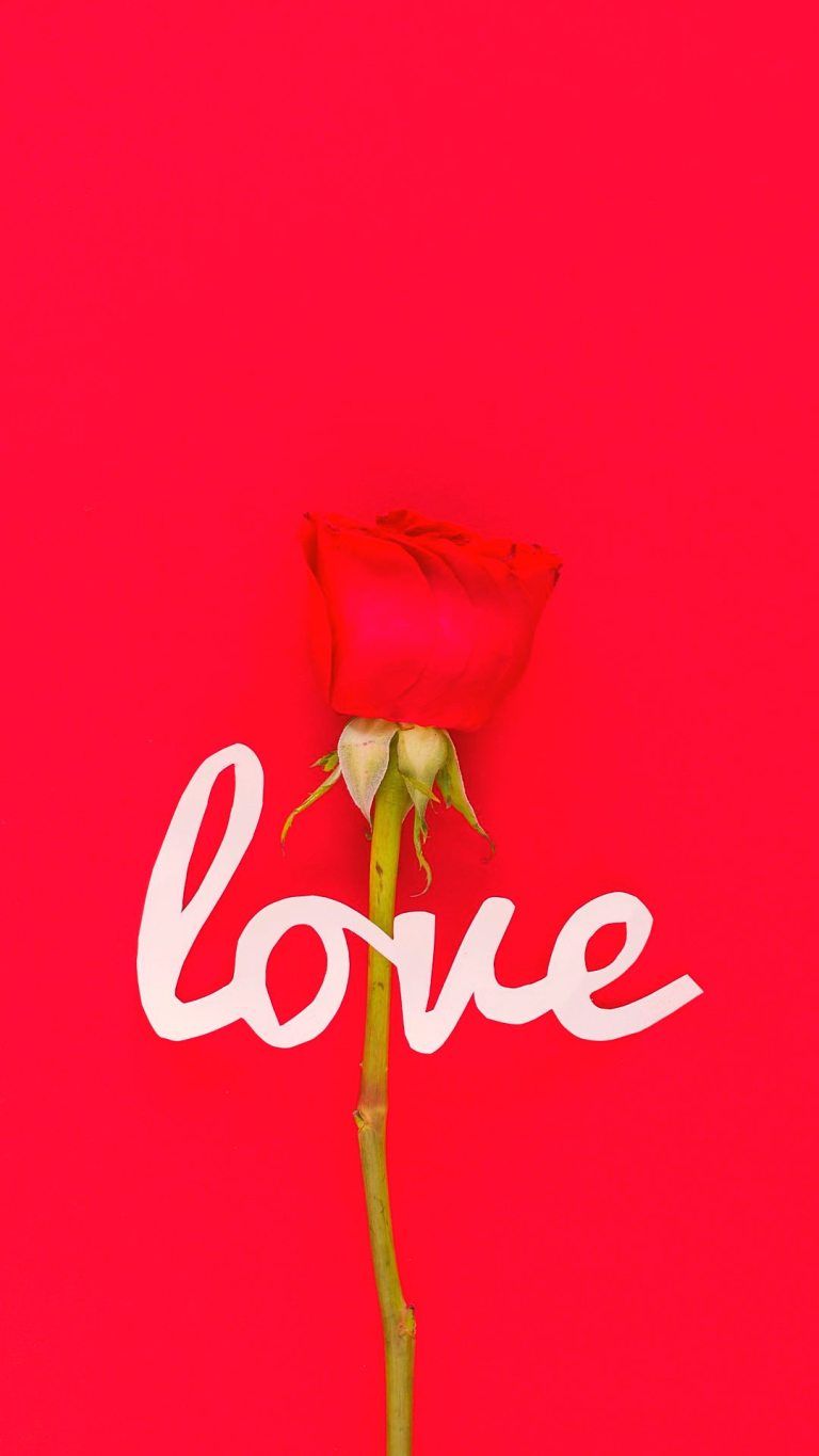 Love Pink Full HD Android Mobile Wallpaper 1080X1920. Traxzee. Red rose love, Love wallpaper download, Red roses