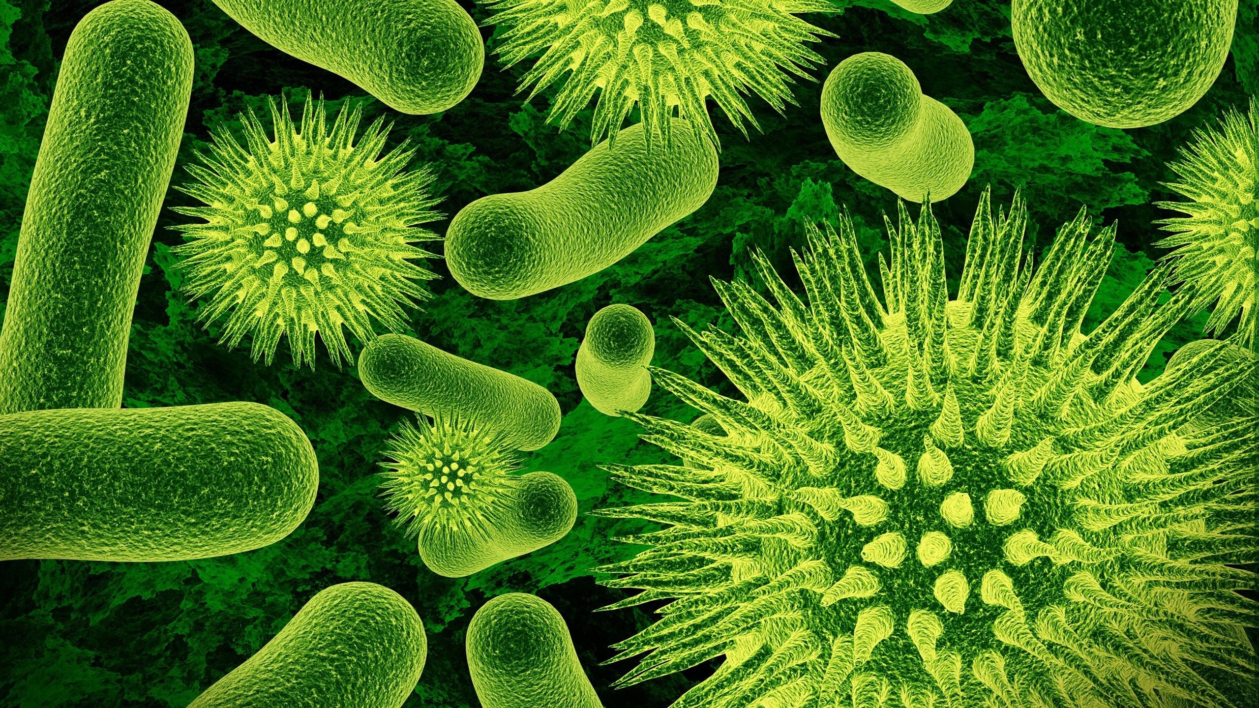 nature closeup microscopic viruses bacteria science green biology wallpaper
