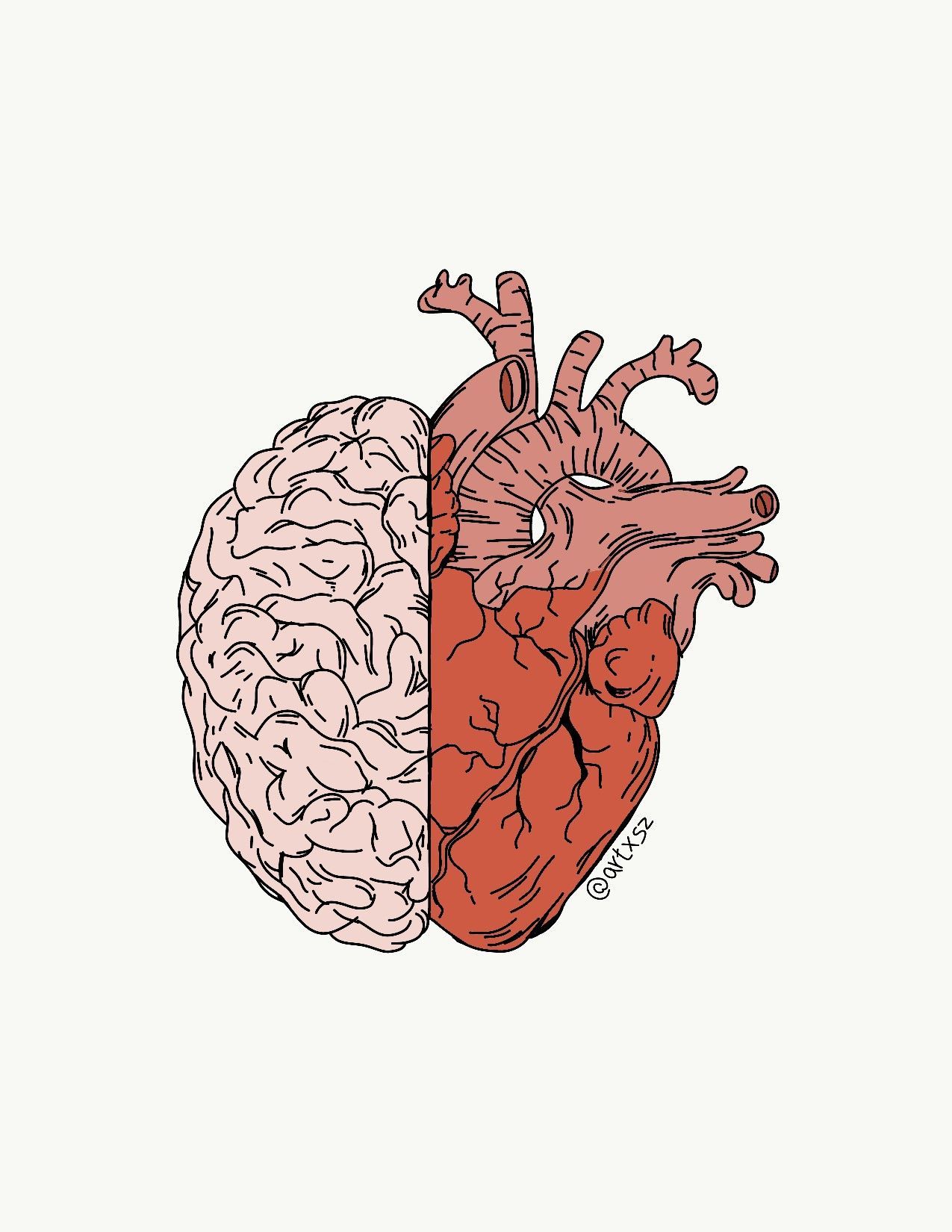 Heart and ideas. anatomy art, heart art, art