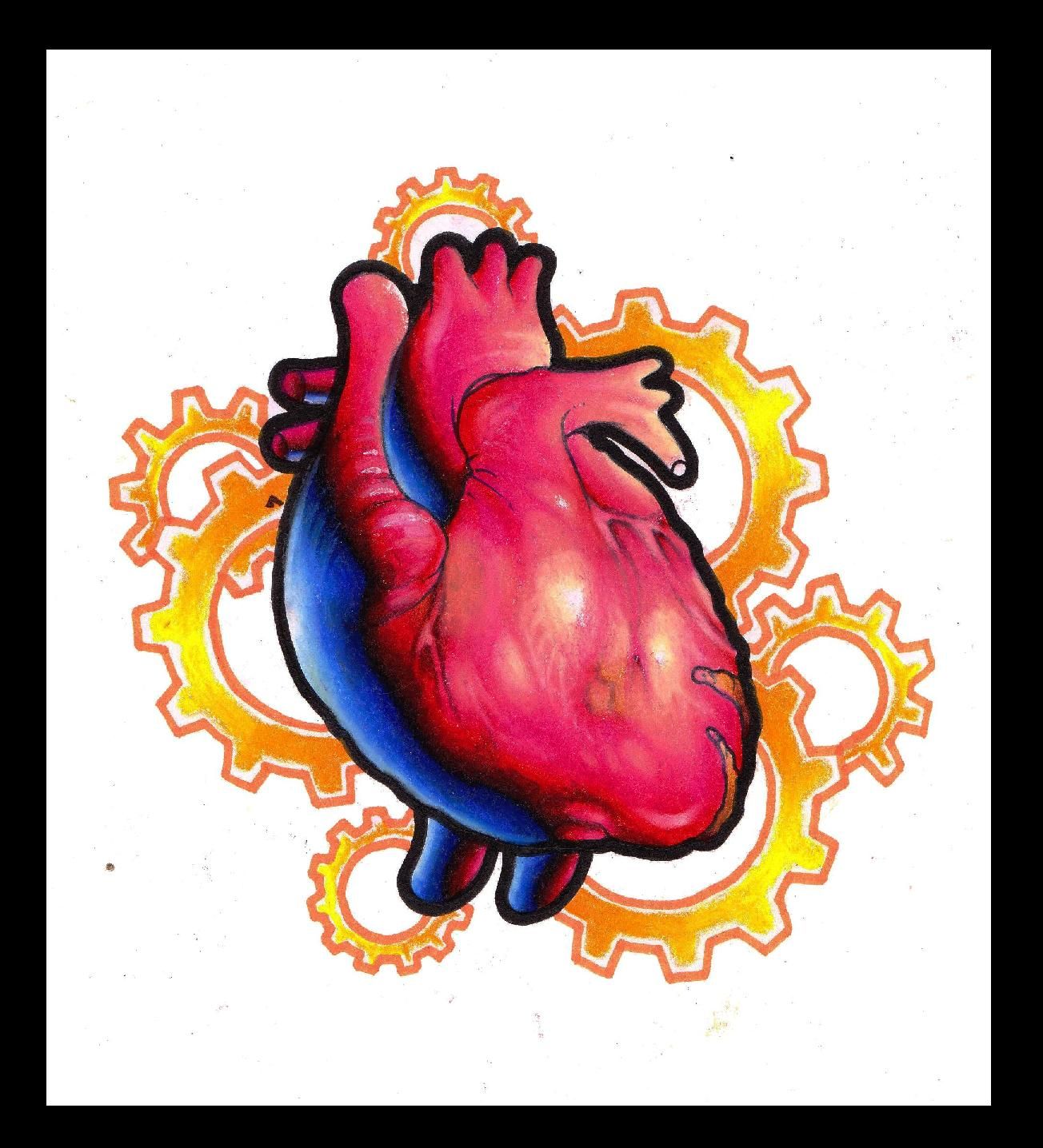 Free Human Heart Picture Image, Download Free Human Heart Picture Image png image, Free ClipArts on Clipart Library