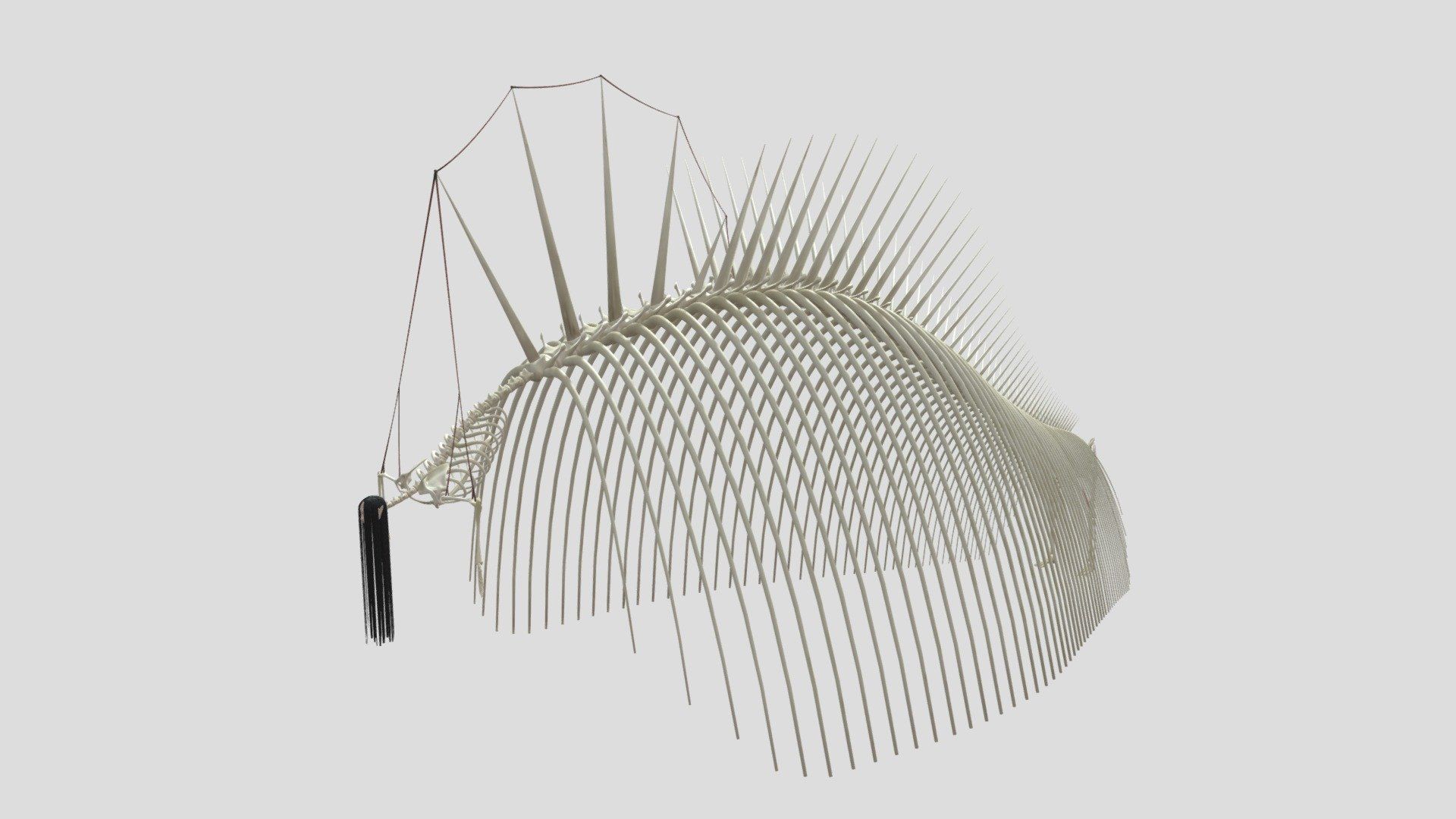 Eren Founding Titan 3D Model. Attack on Titan model by nav9 [dd33e9f]