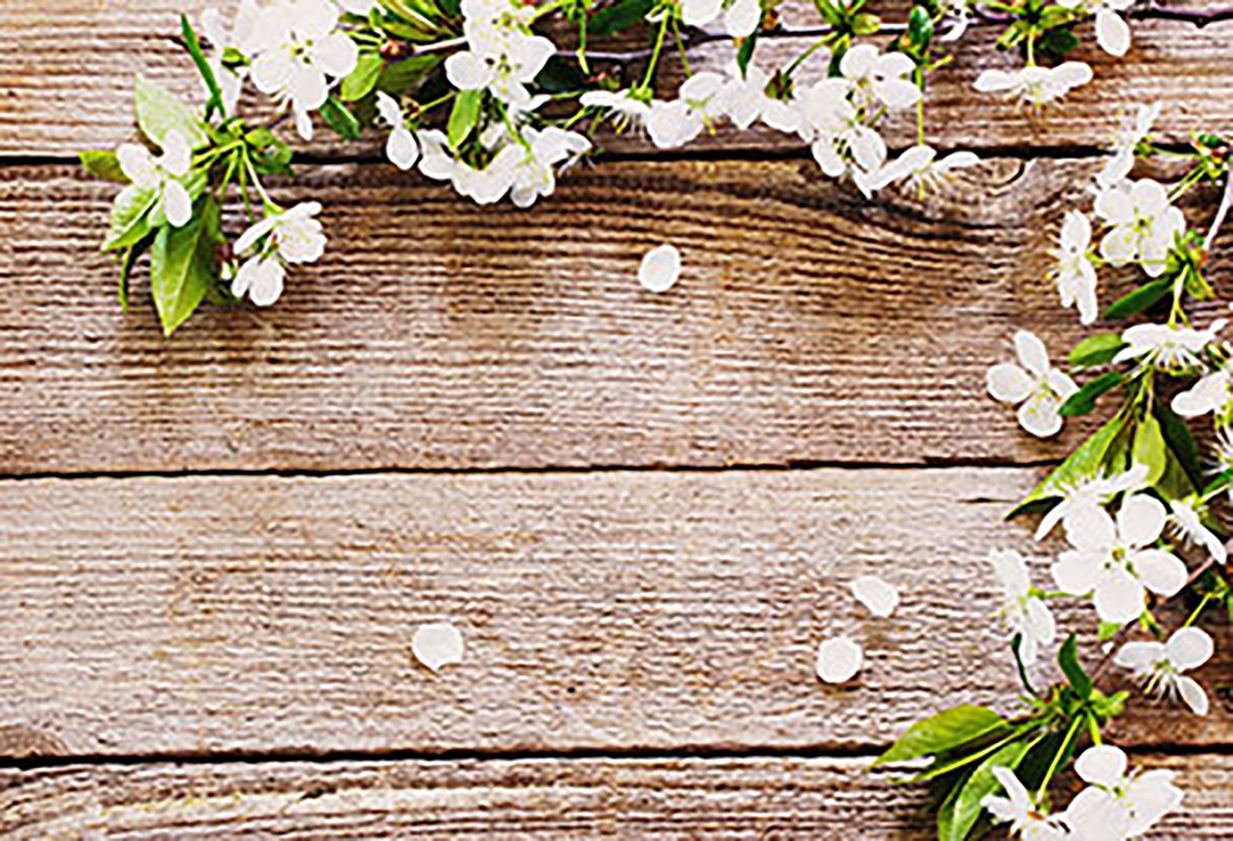 Patterned Backdrops Flower Backdrop Yellow Background G 605. Flower Backdrop, HD Flower Wallpaper, Floral Background