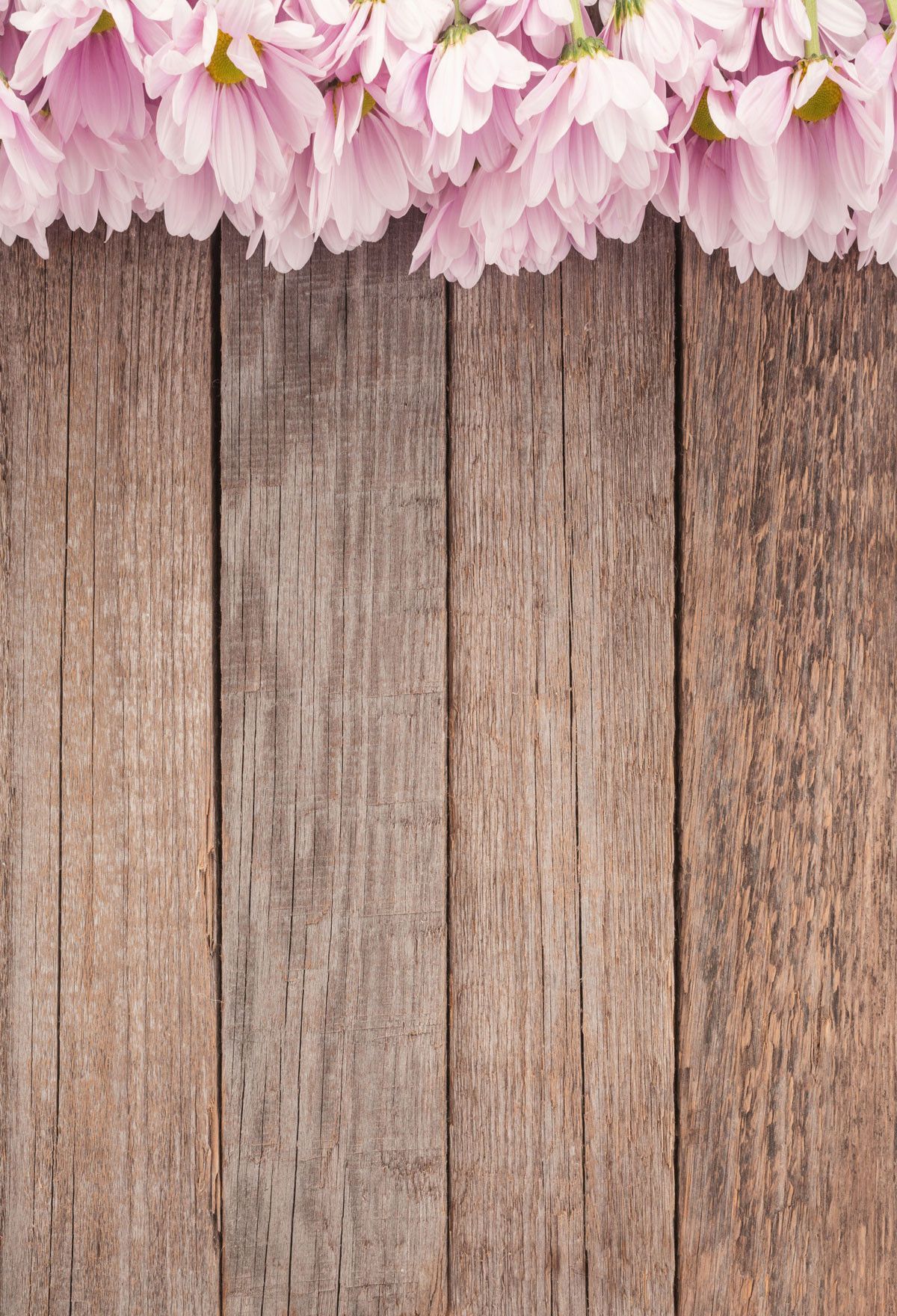 Flowers on wooden background  Photo