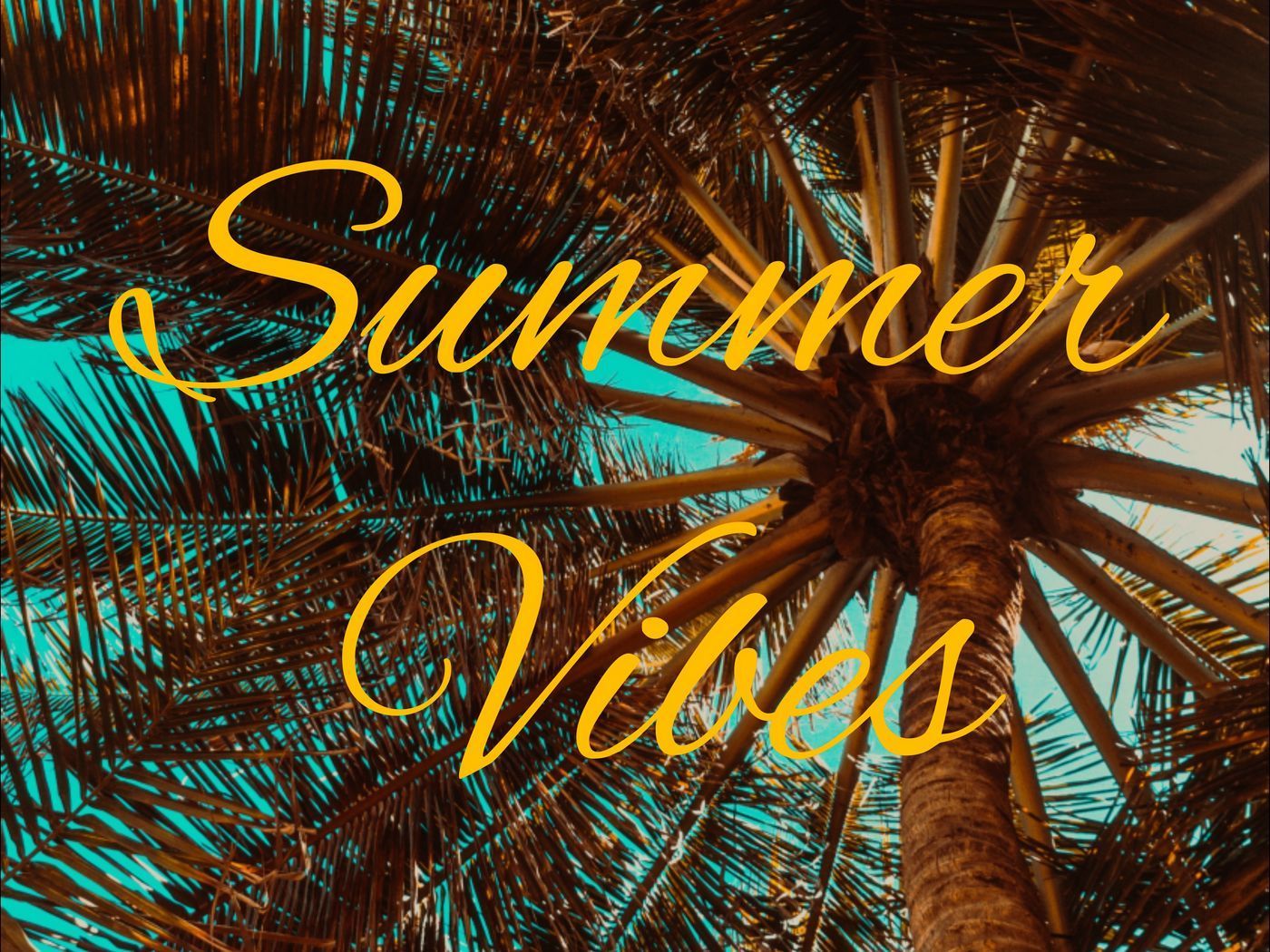 Summer Vibes Desktop Wallpaper