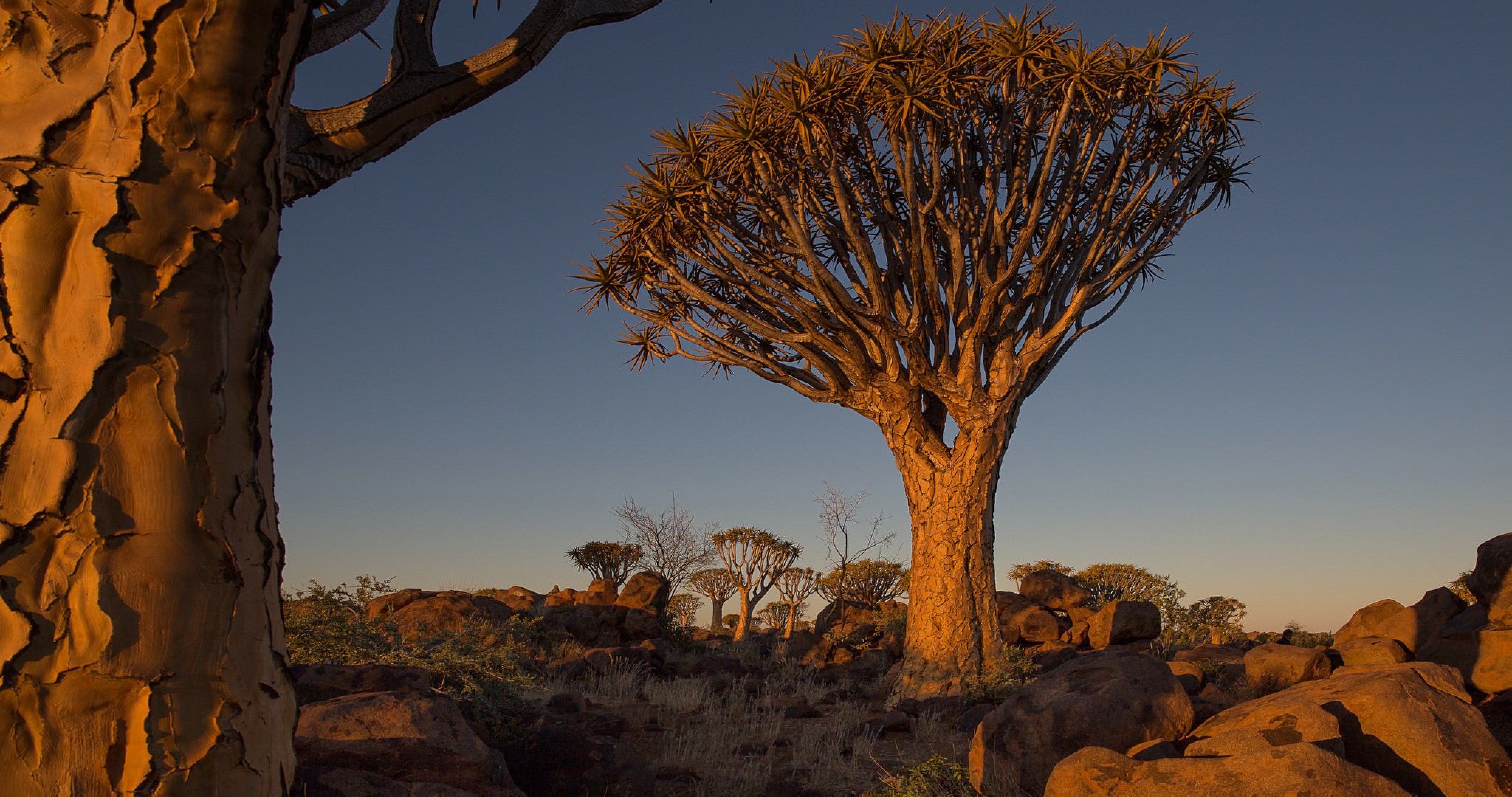 namibia africa landscape 4k ultra HD wallpaper High quality walls
