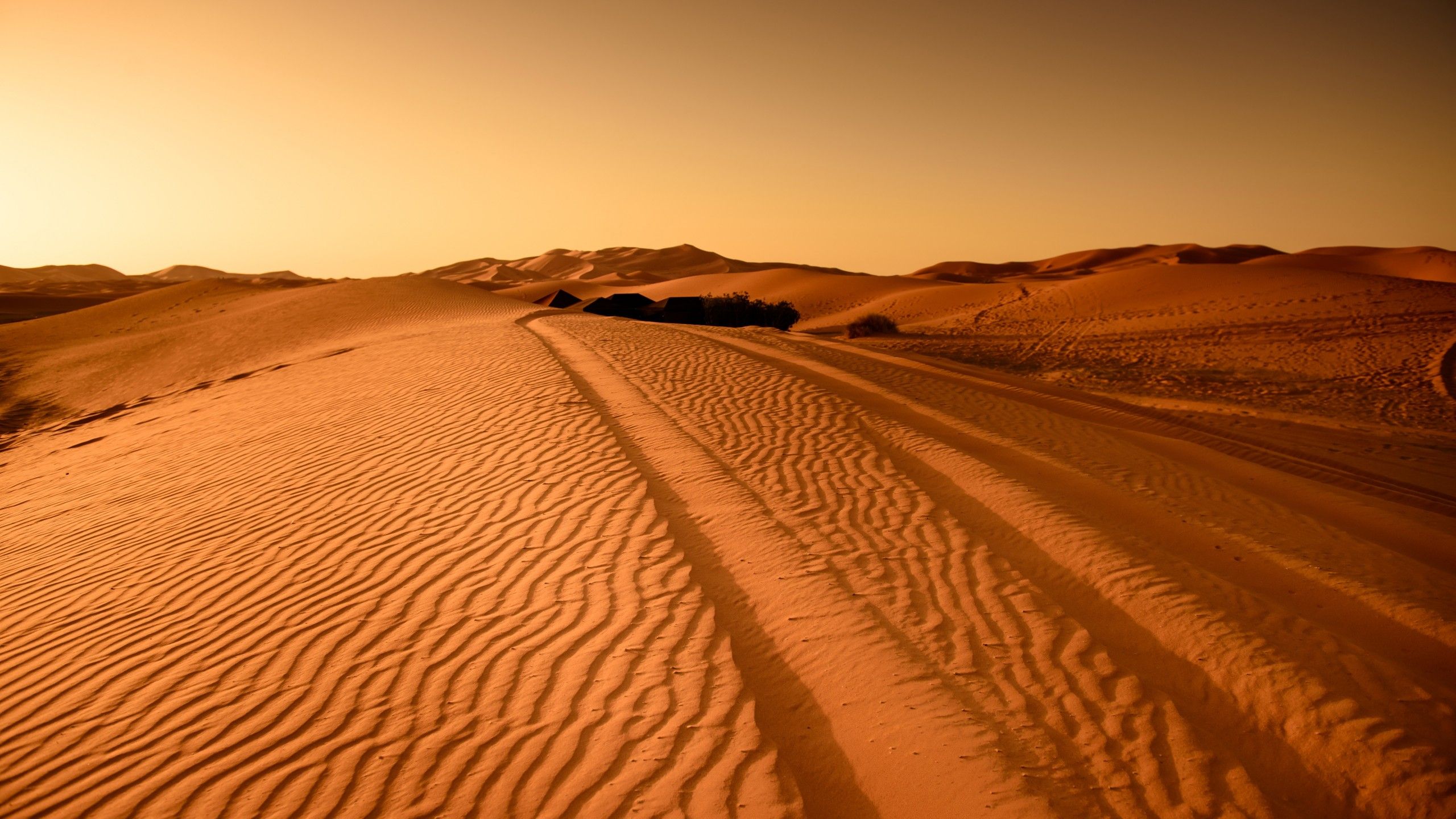 Africa Desert Dune Sand 4K 8K HD African Wallpaper