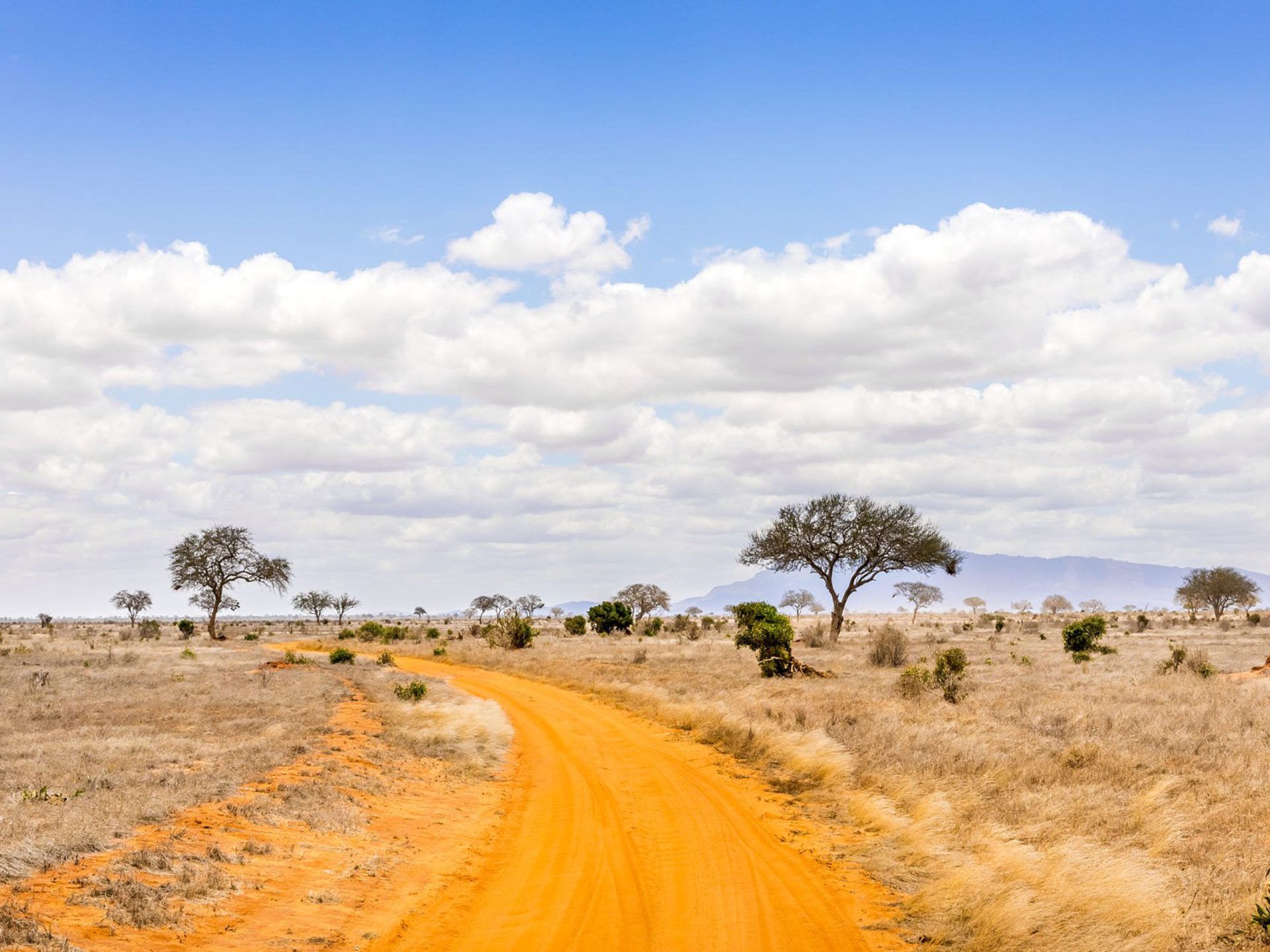 Safari Road In Kenya Savannah Landscape Photography 4k Ultra HD Wallpaper For High Resolution Computer And Laptop, Wallpaper13.com