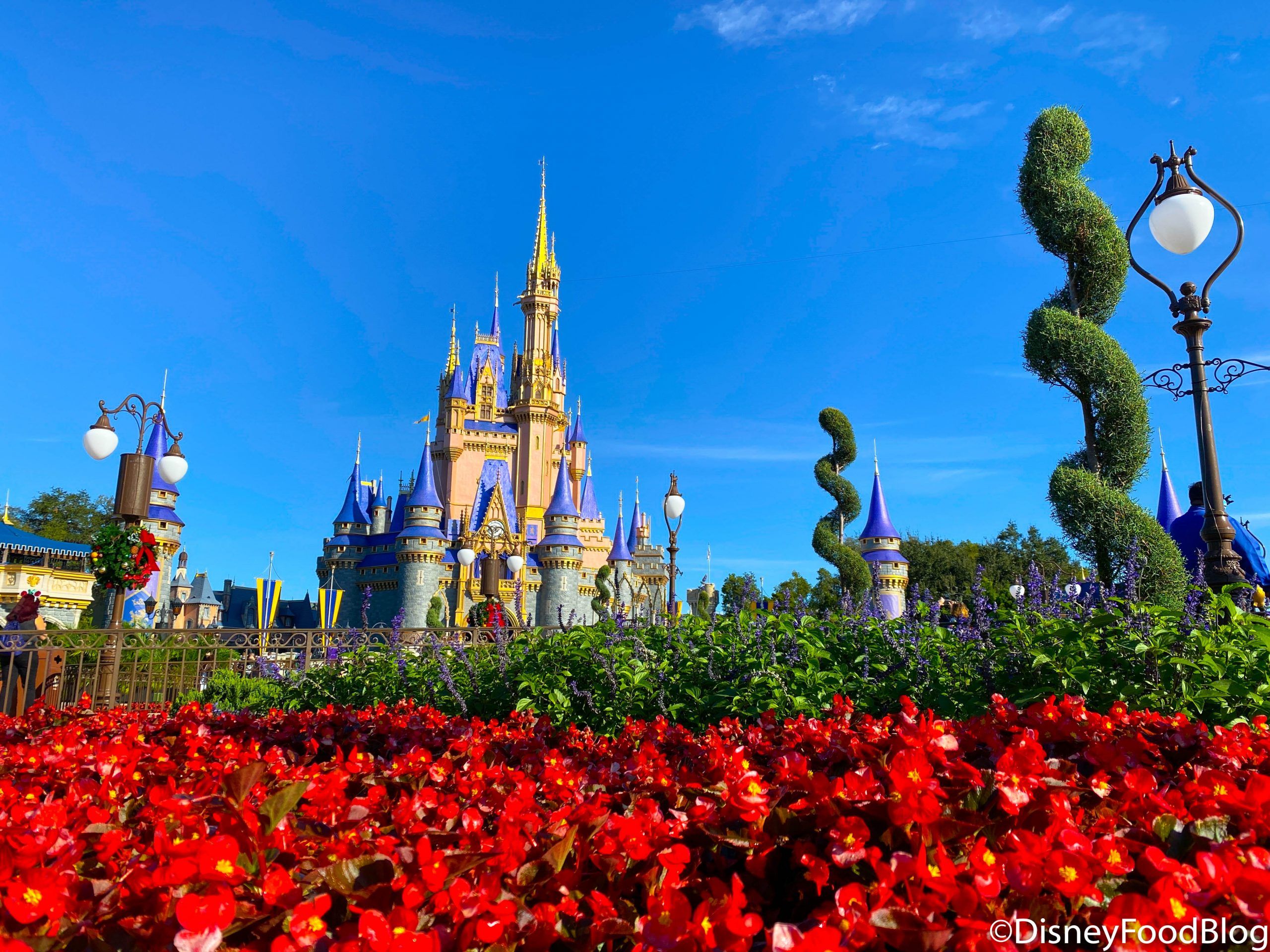 Our FREE Gift to YOU! 29 Disney World Wallpaper From DFB!. the disney food blog