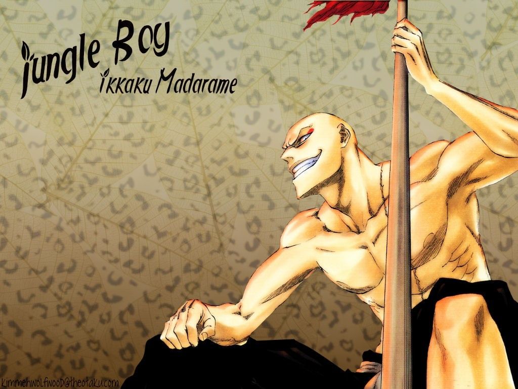 Bleach Ikkaku Madarame