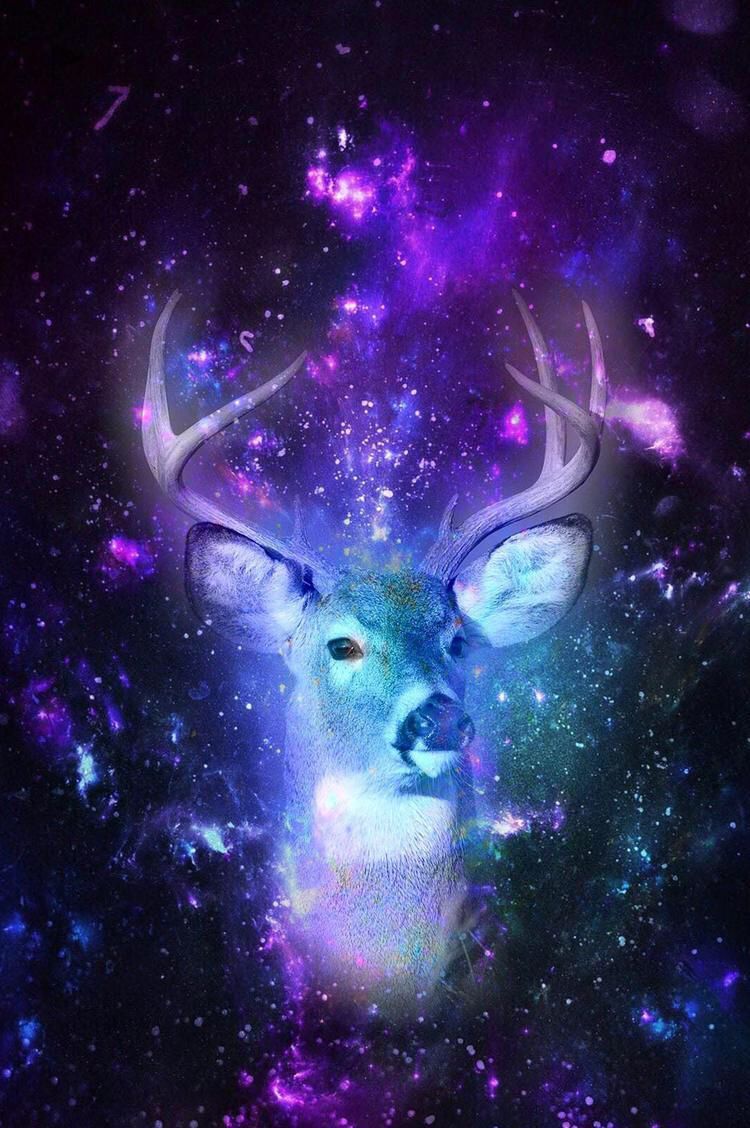 Galaxy Deer Wallpaper