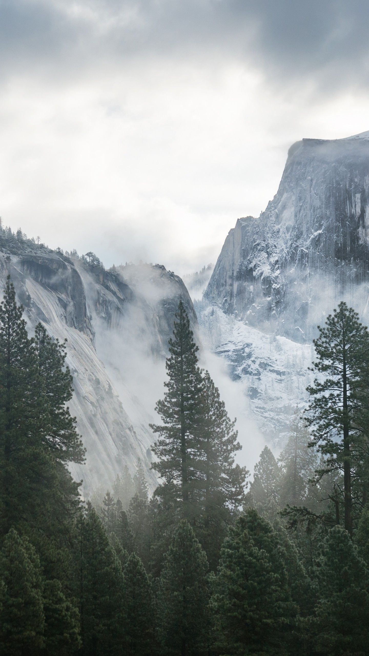 Wallpaper Yosemite, 5k, 4k wallpaper, 8k, forest, OSX, apple, mountains, Nature