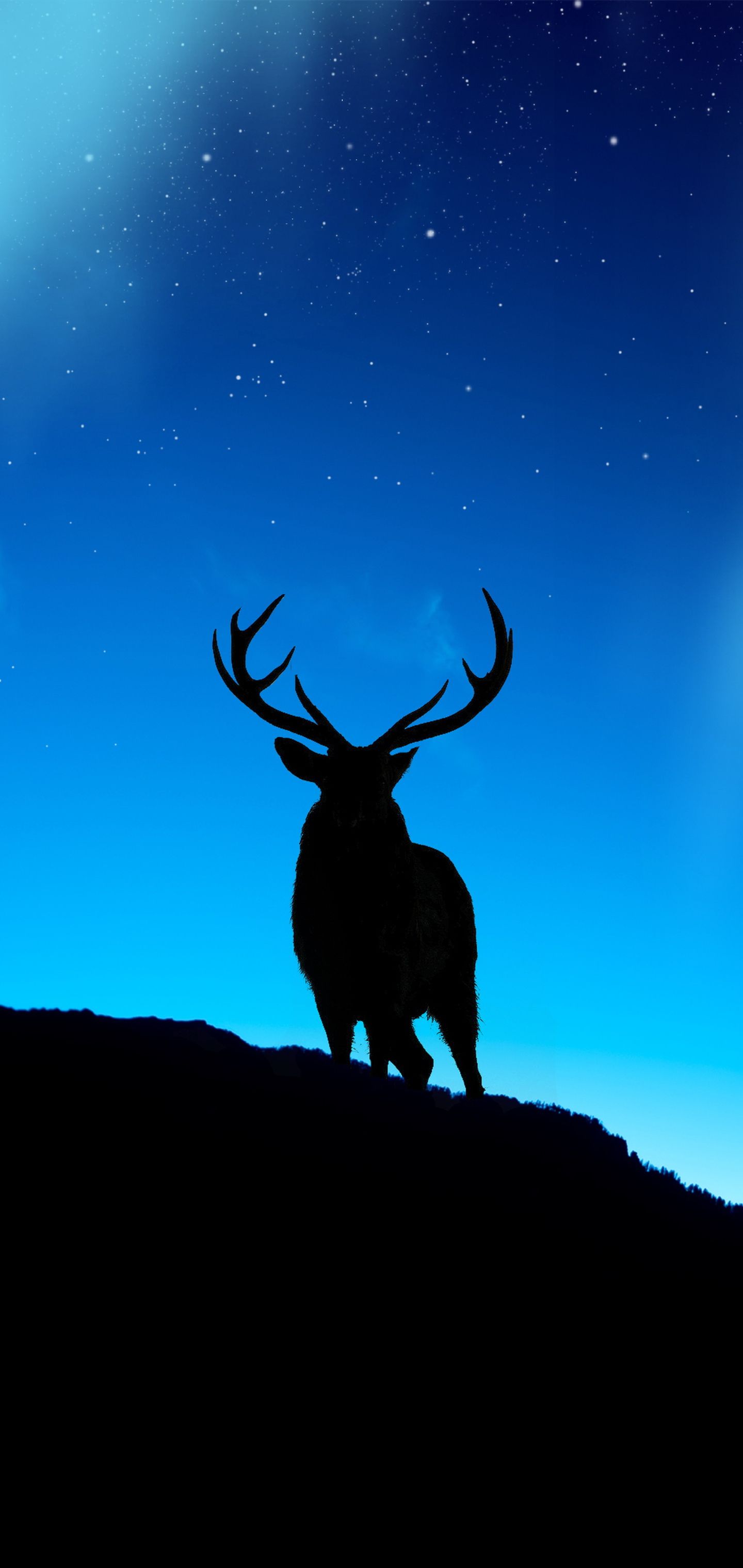 Deer Phone Wallpaper