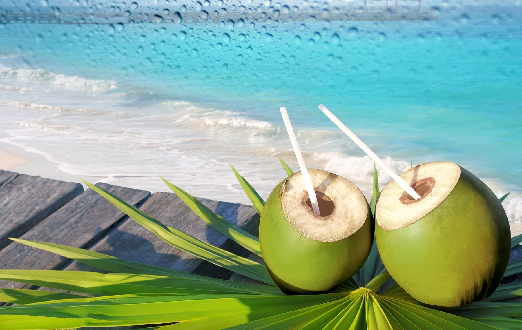 Green Coconut Wallpaper