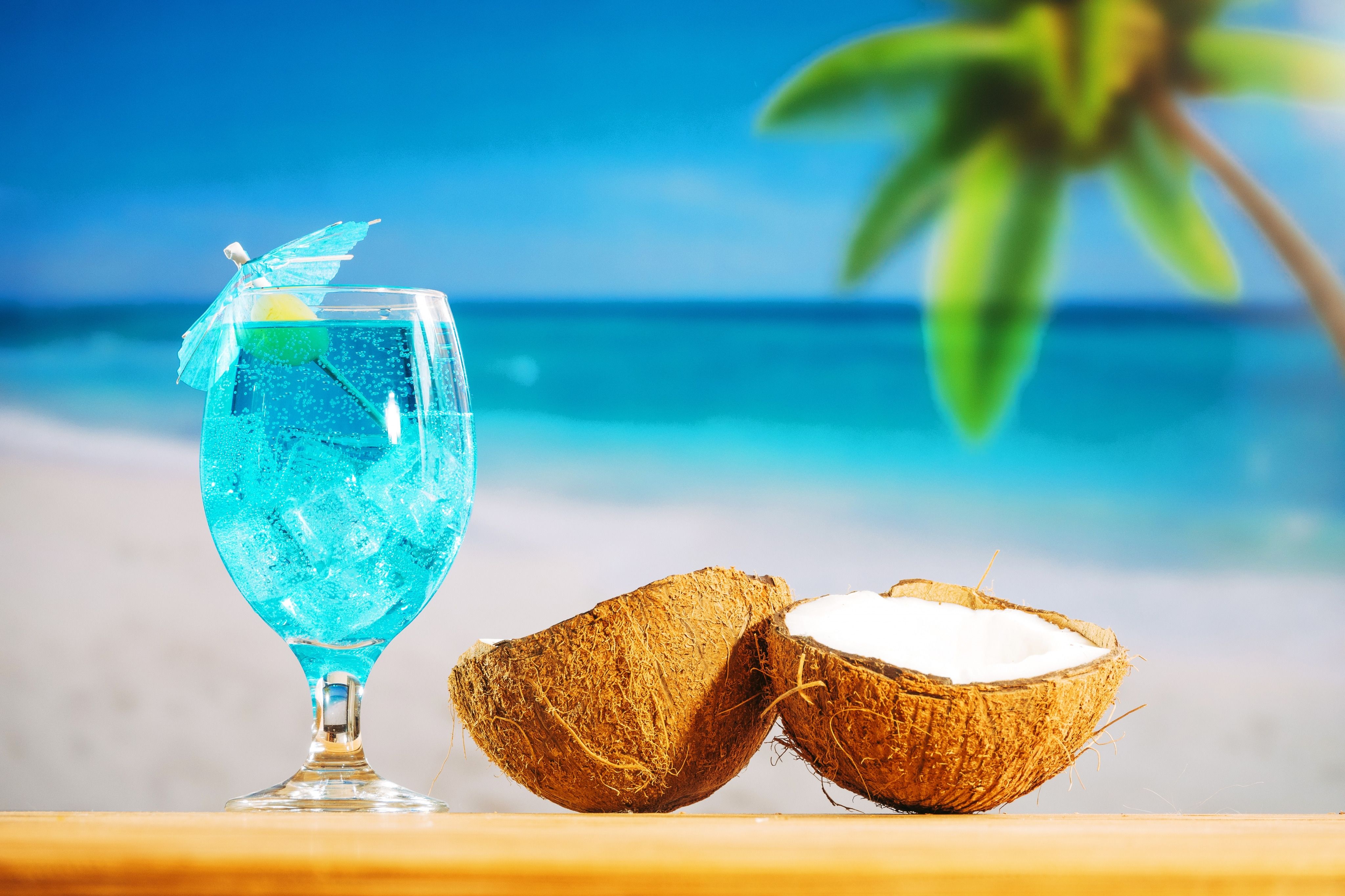 coconut HD wallpaper, background
