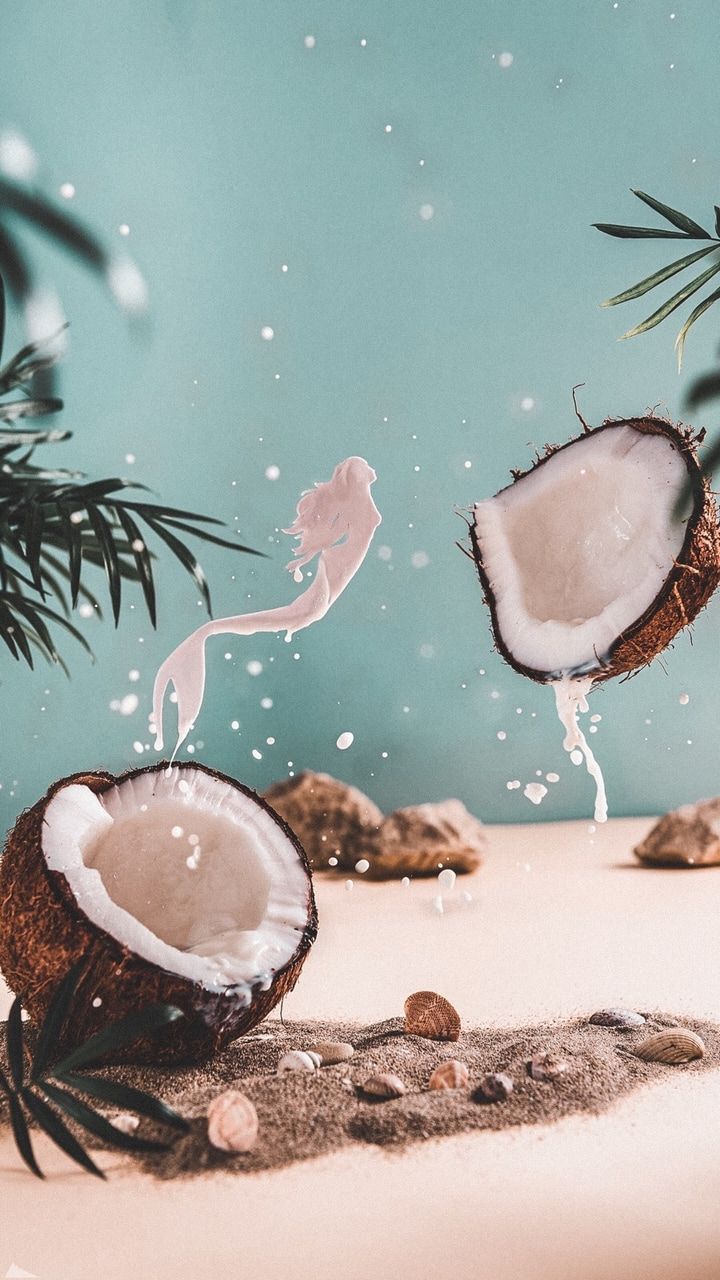 Coconut fruit exotic tropical HD phone wallpaper  Peakpx