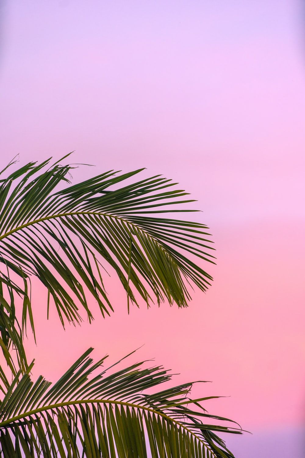 Pastel Background Image: Download HD Background