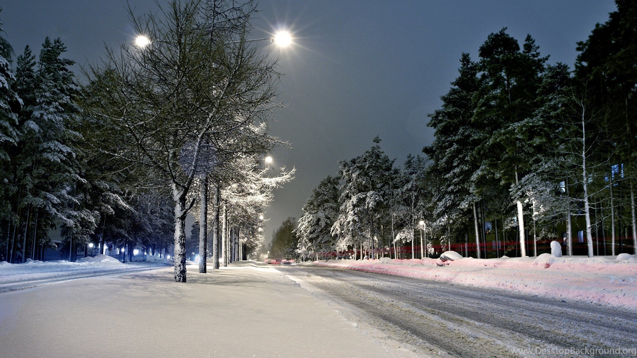 Street. Lights. Winter. Snow. Scenery HD Wallpaper. 4K Wallpaper Desktop Background