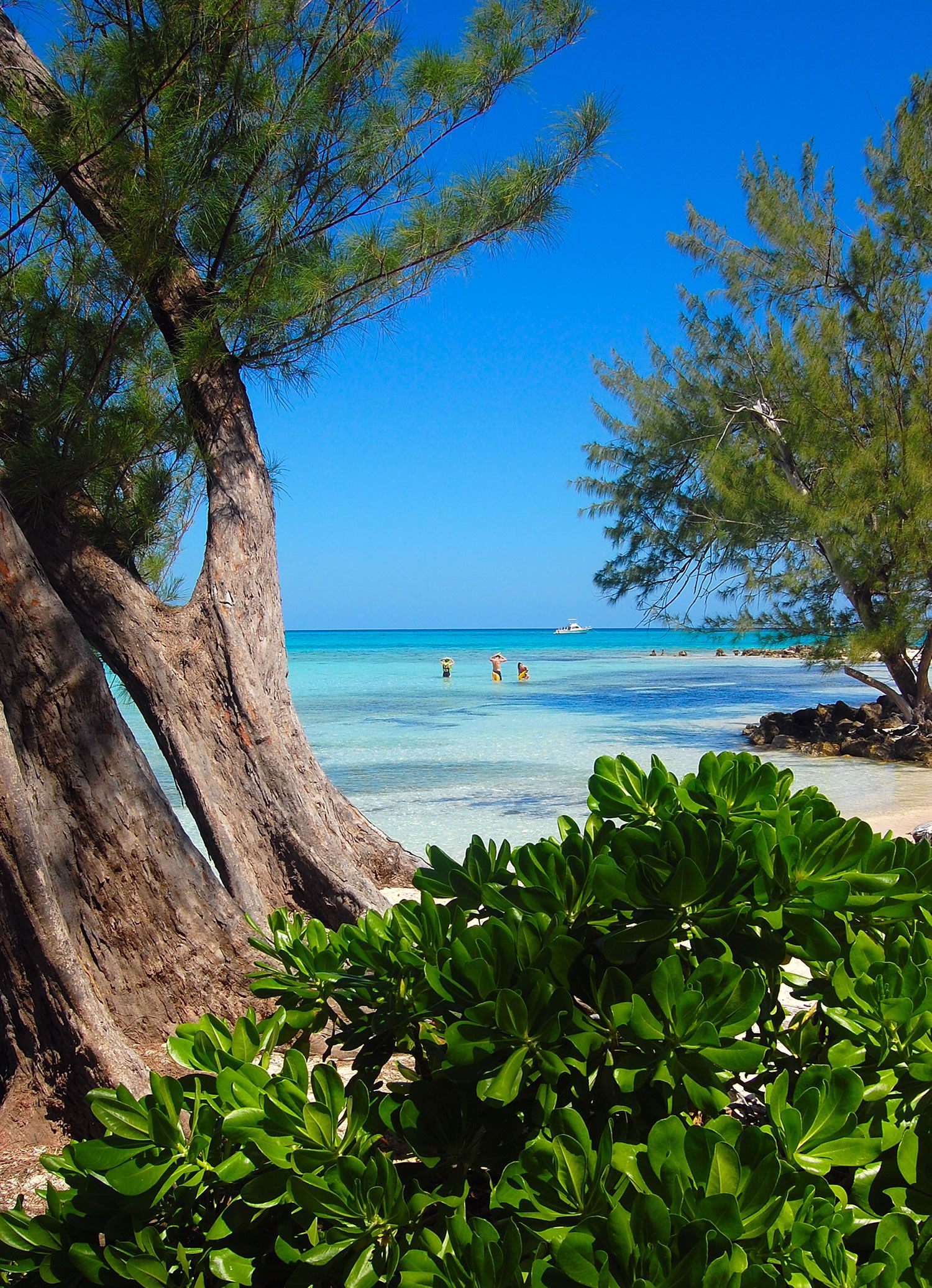 perfect beach cayman islands. HD Windows Wallpaper