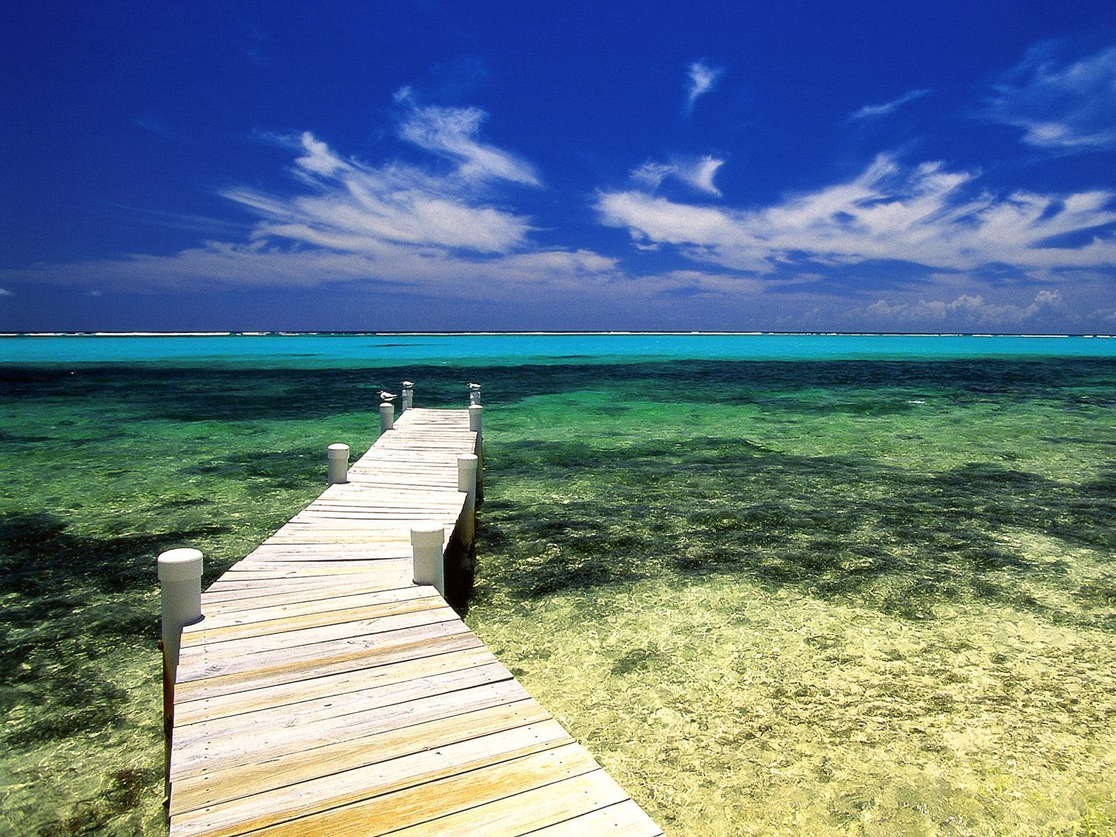 Paradise Pier Grand Cayman Wallpaper. HD Beach Wallpaper for Mobile and Desktop