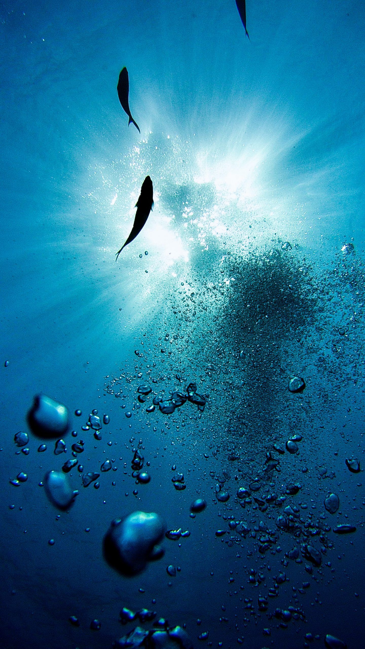 Free Underwater HD Wallpaper