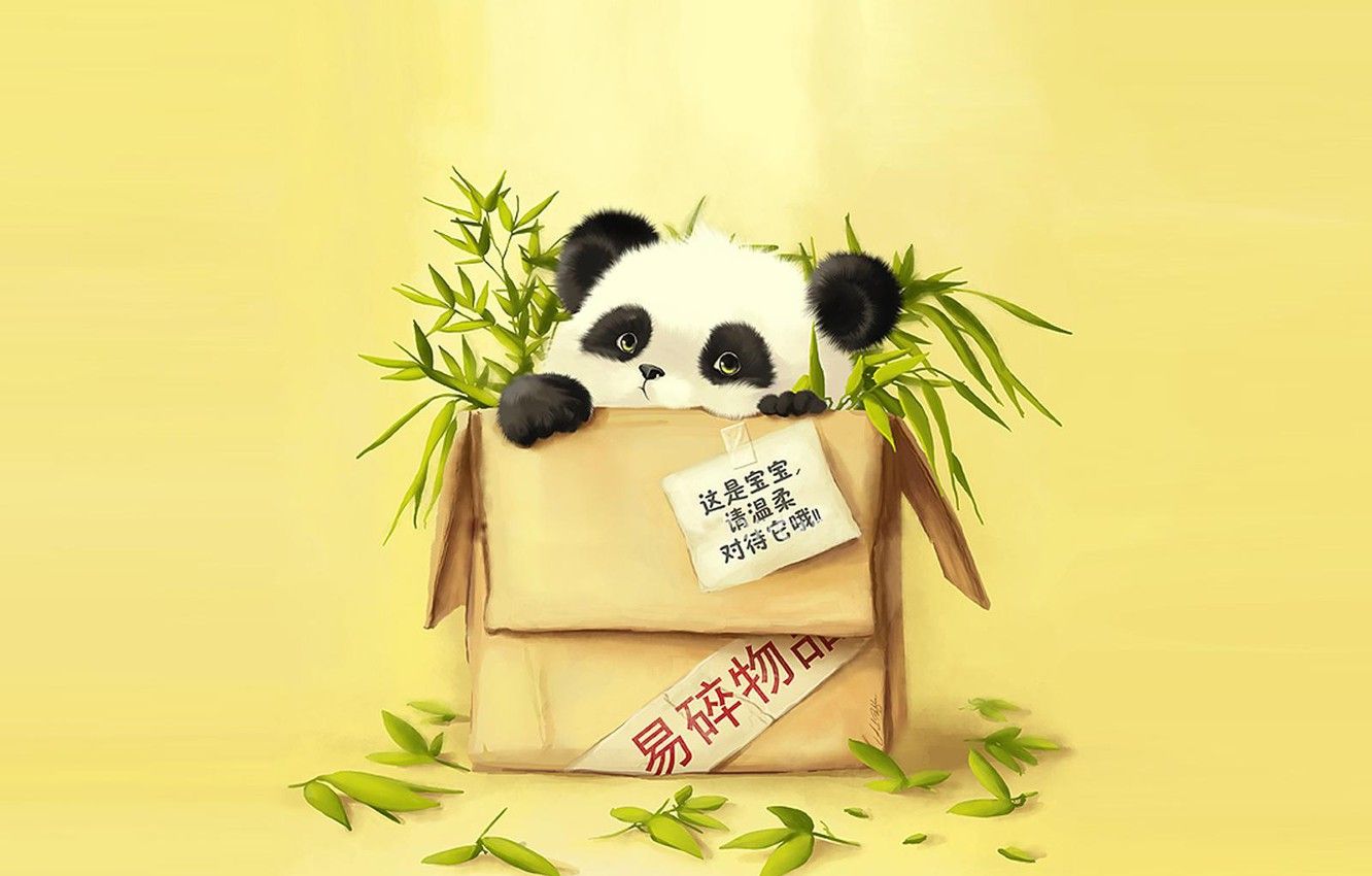 Wallpaper bamboo, Panda, package image for desktop, section животные