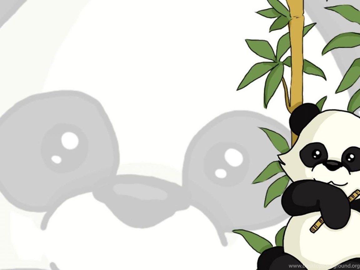 Animals Bamboo Panda Bears Wallpaper Desktop Background