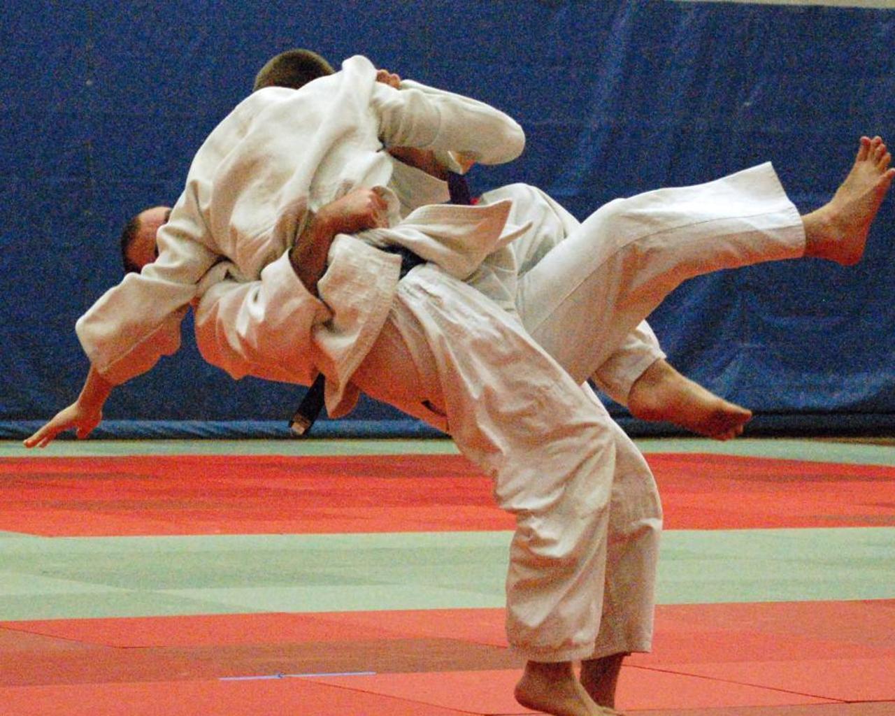 Judo Game Wallpaper Game Wallpaper