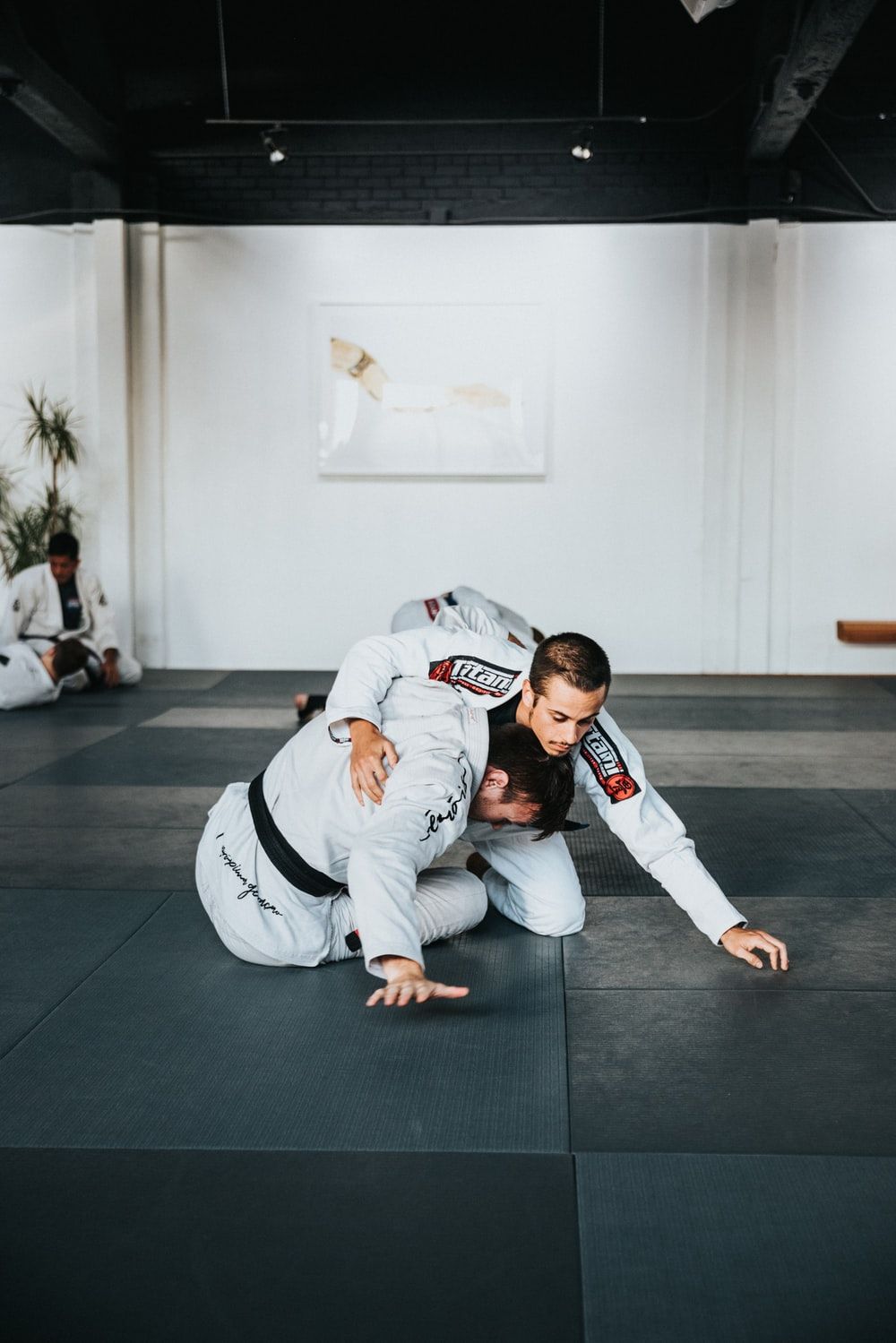 Judo Picture [HD]. Download Free Image